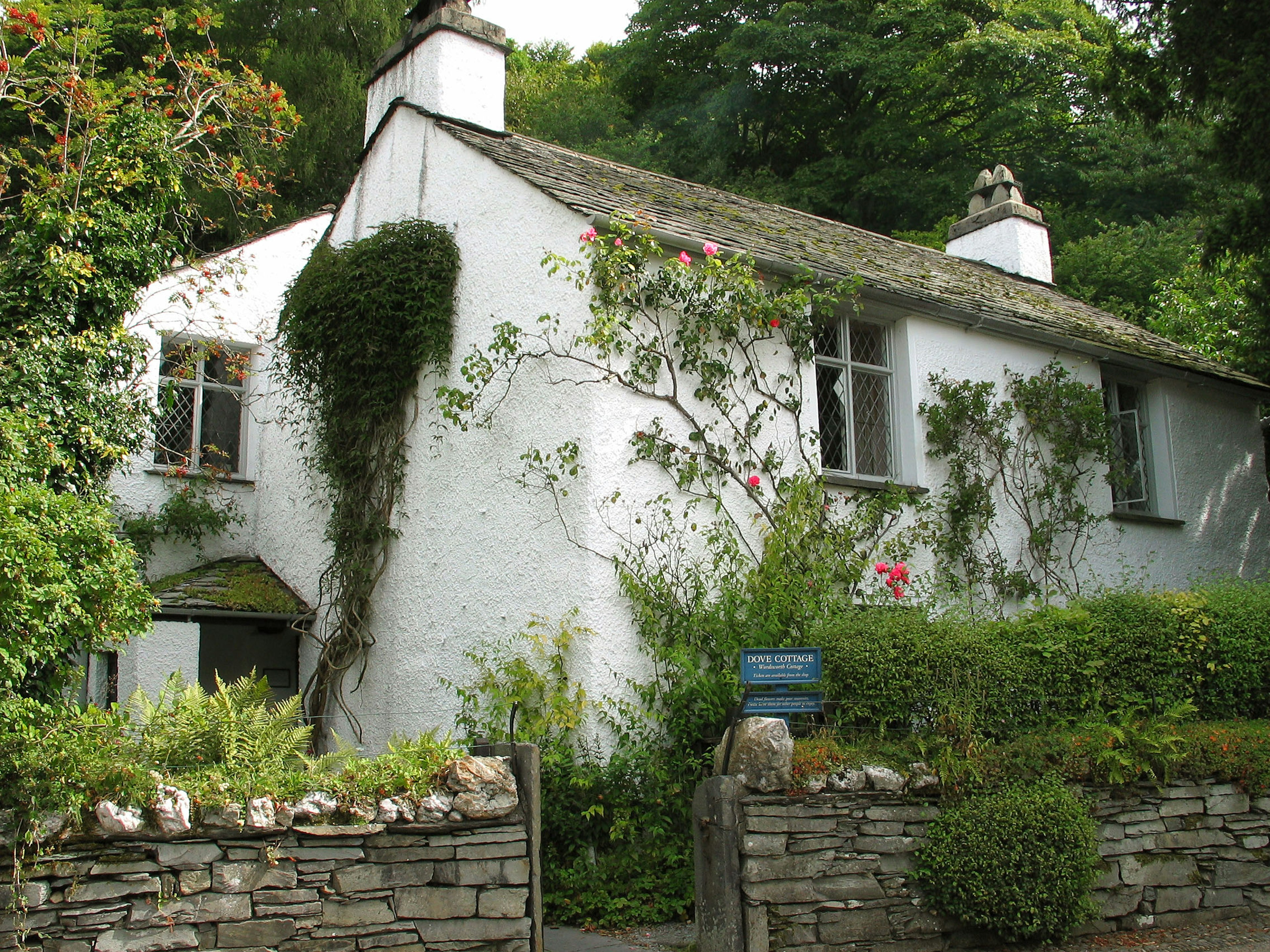 Charming white cottage surrounded by lush greenery