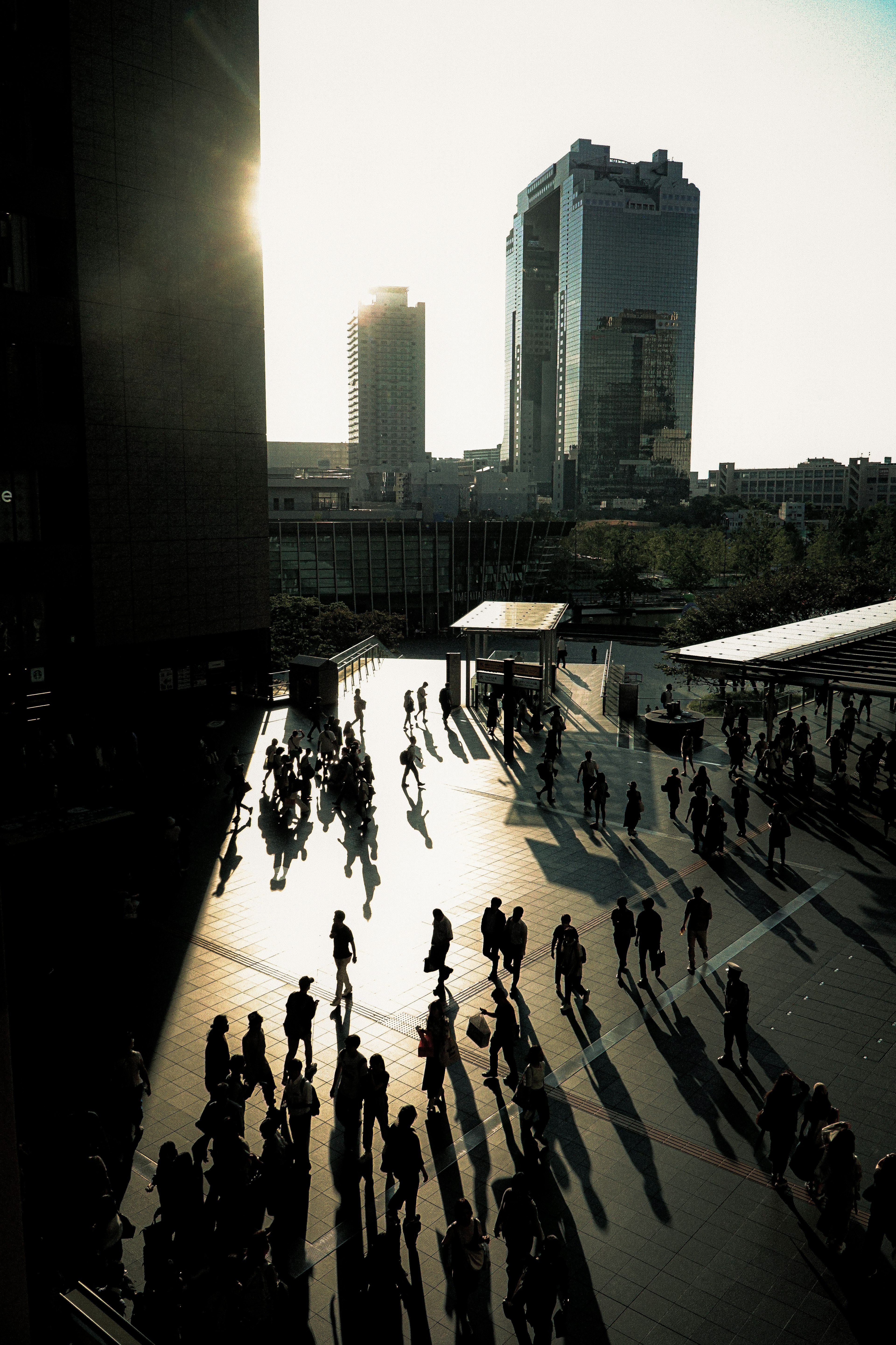 Urban landscape with people casting long shadows in the sunset light