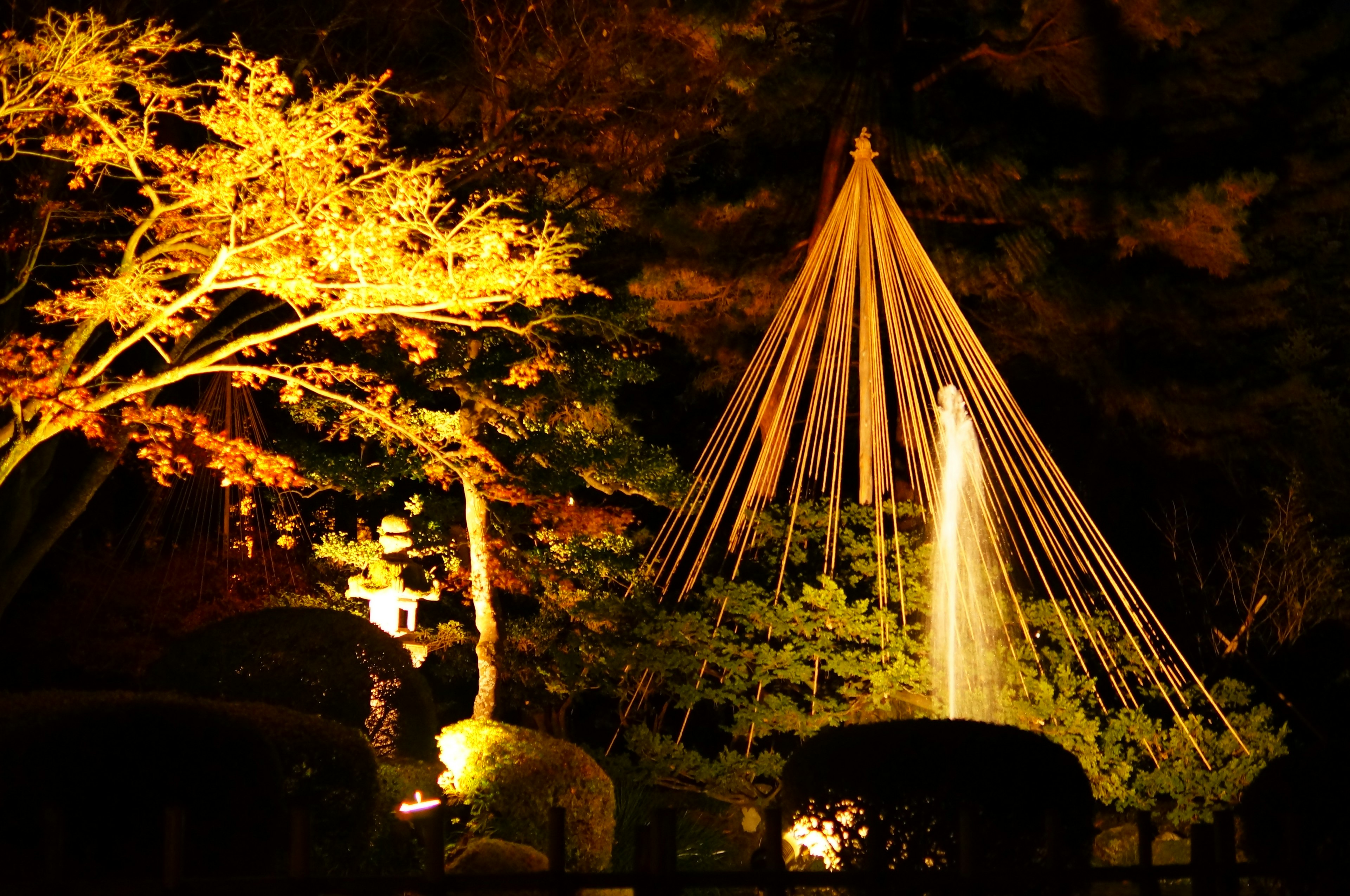 Una bella vista di alberi illuminati e una fontana in un giardino notturno