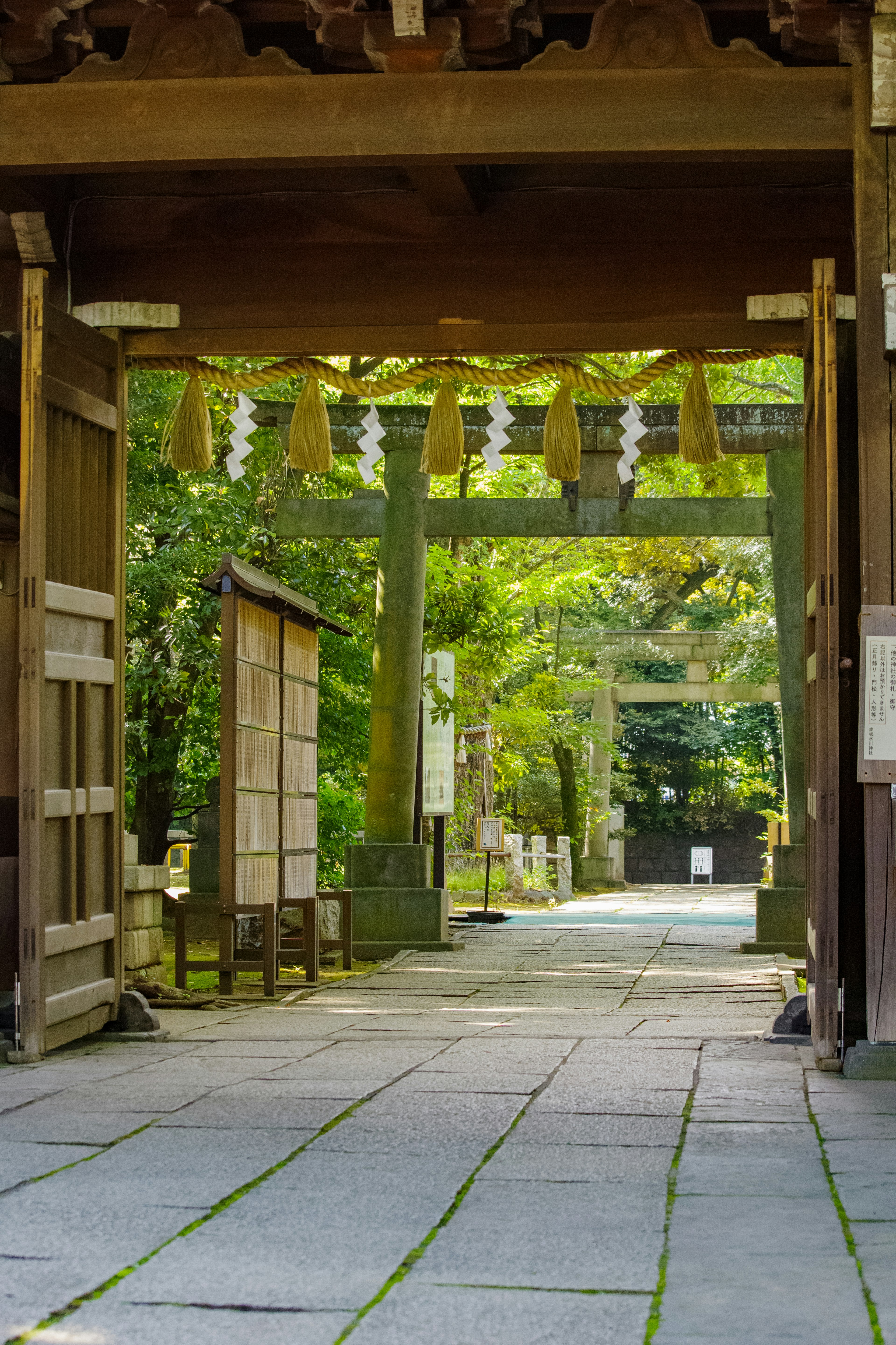 A serene view through a shrine gate surrounded by greenery