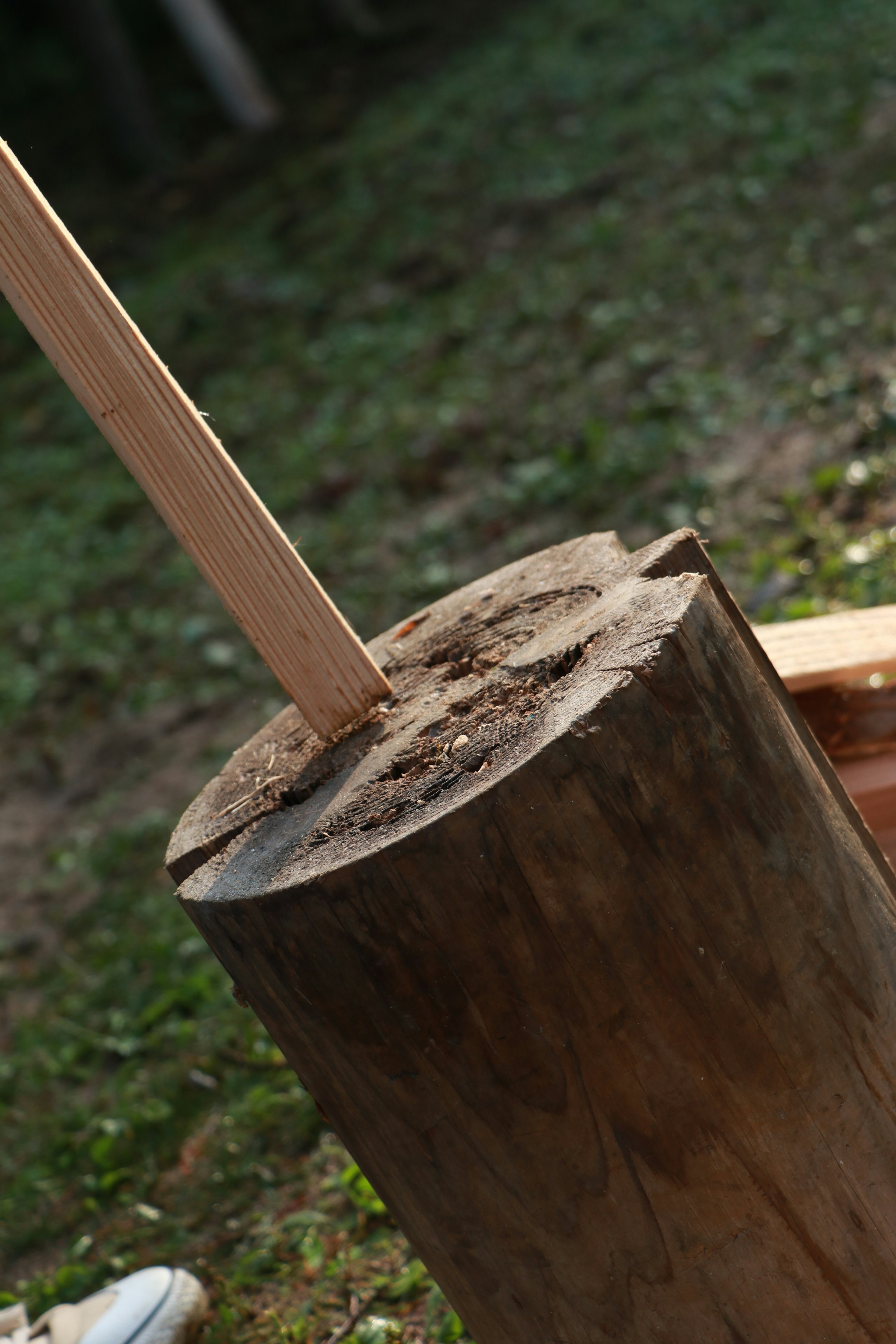 Image of a wooden post standing upright on a log