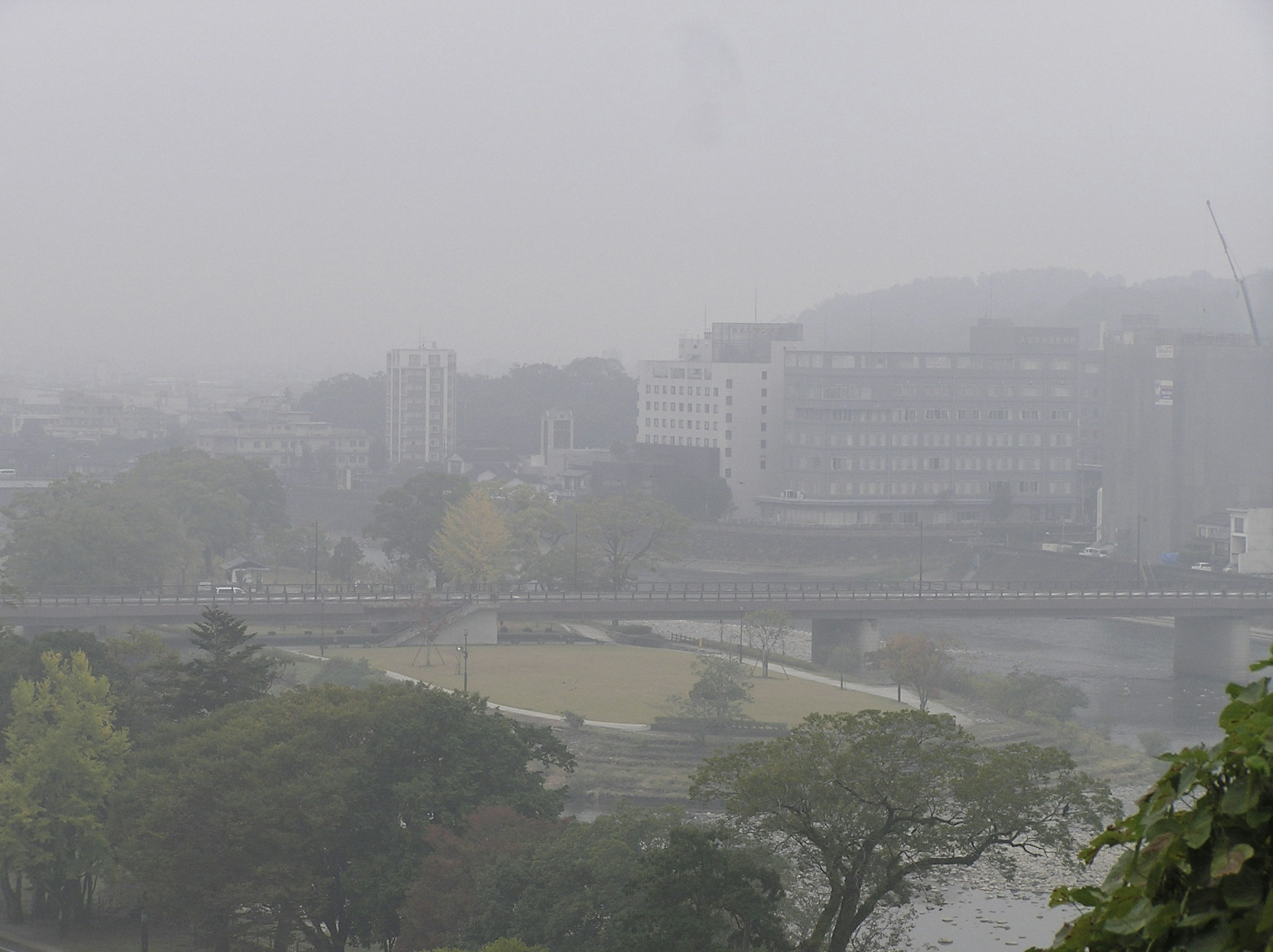 Cityscape shrouded in fog with a bridge and greenery