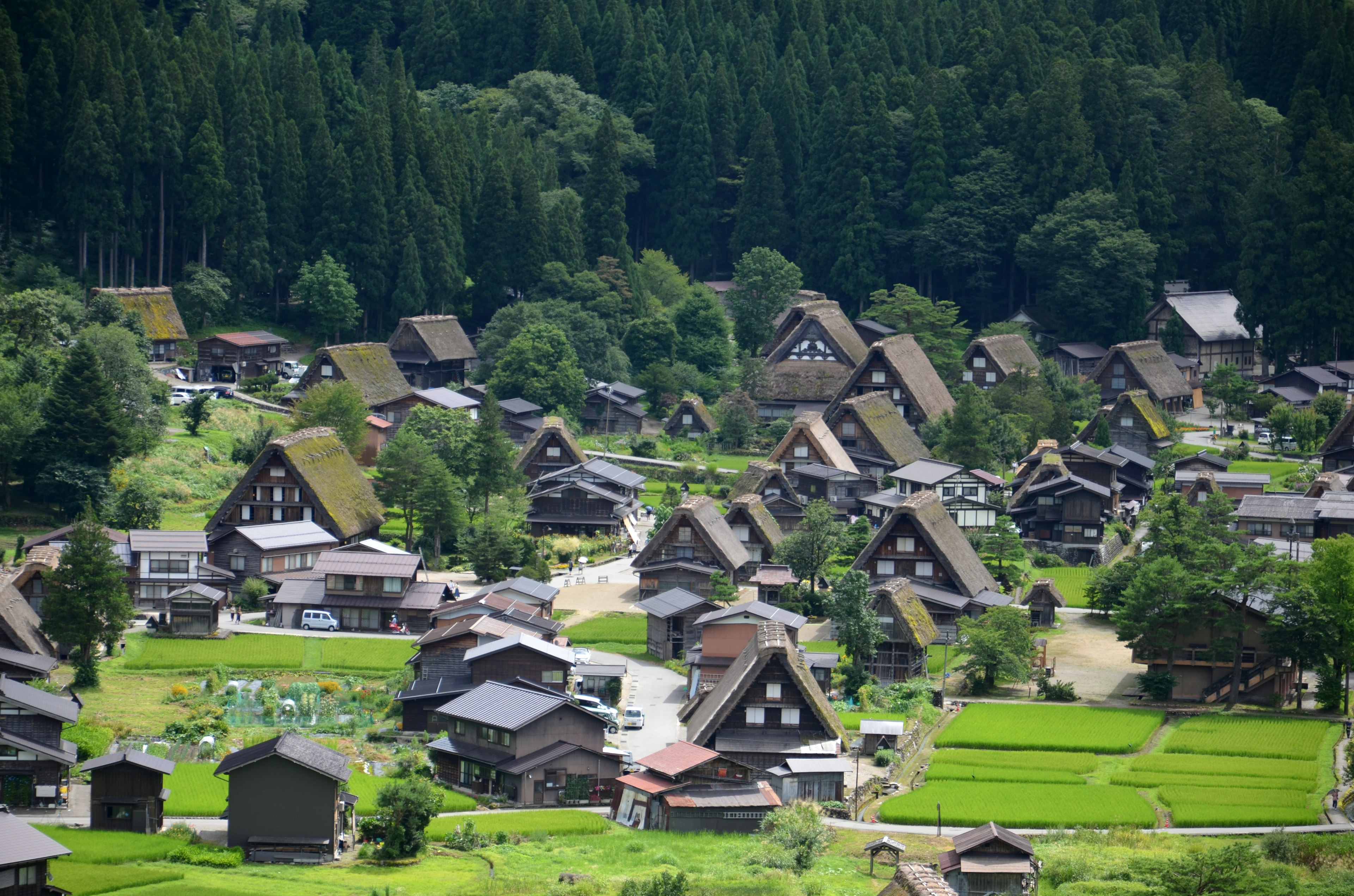 美しい山間の村に広がる伝統的な合掌造りの家々