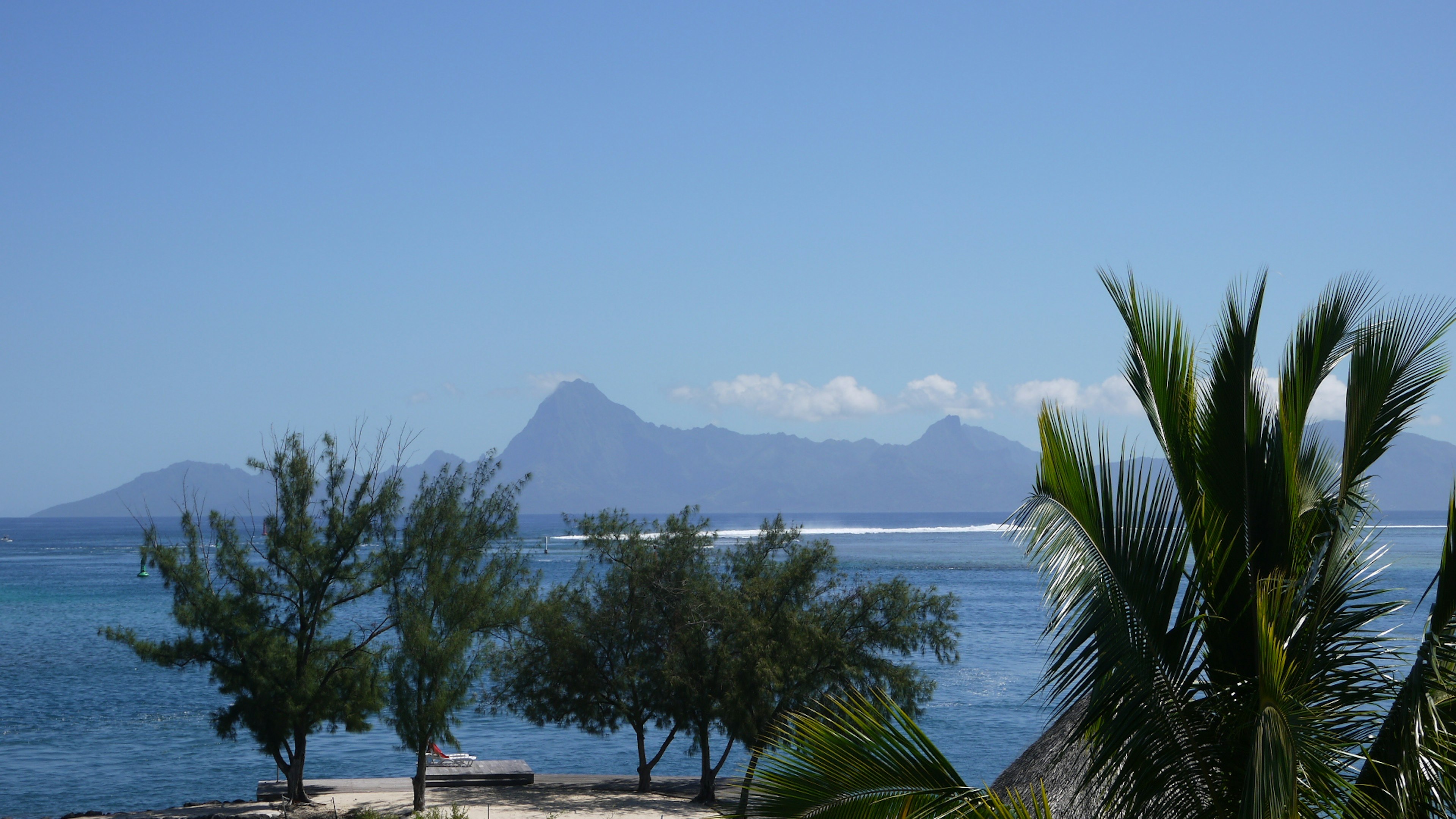 Vue panoramique de montagnes et d'océan bleu avec des palmiers