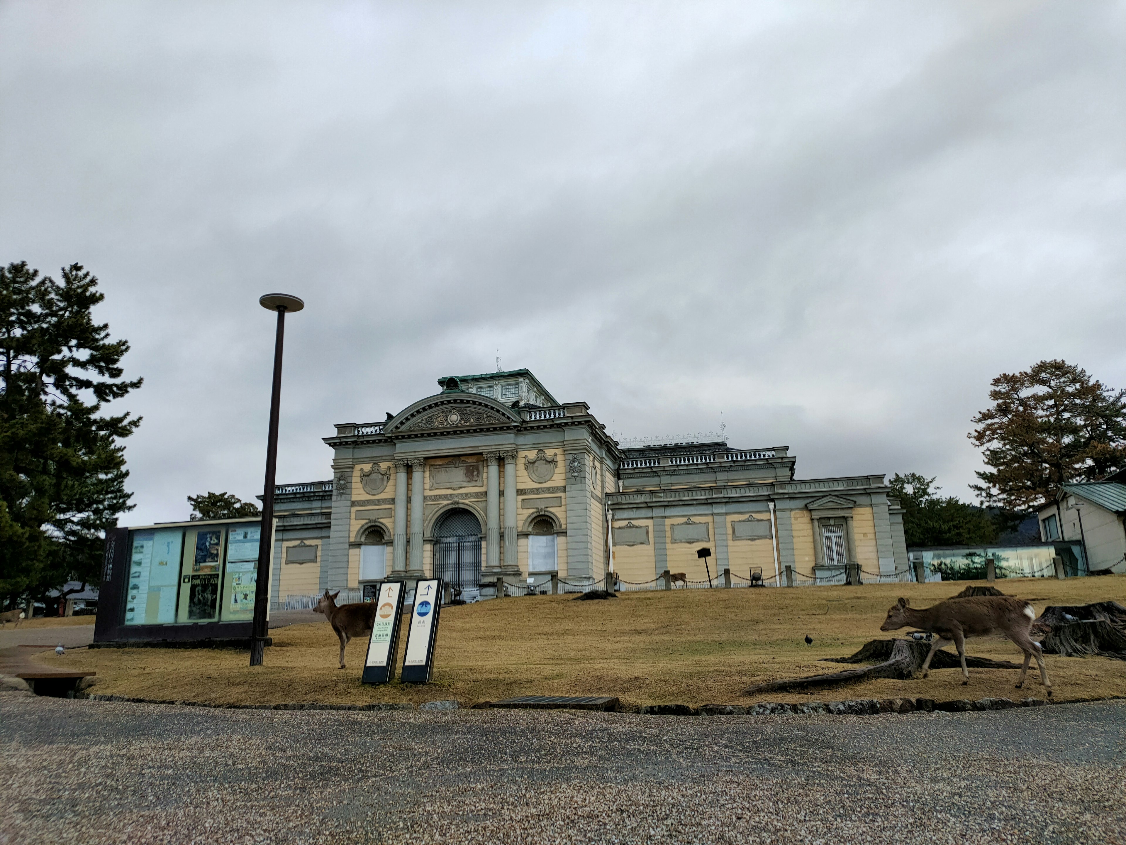 Historisches Gebäude mit einem Reh davor und grauem Himmel