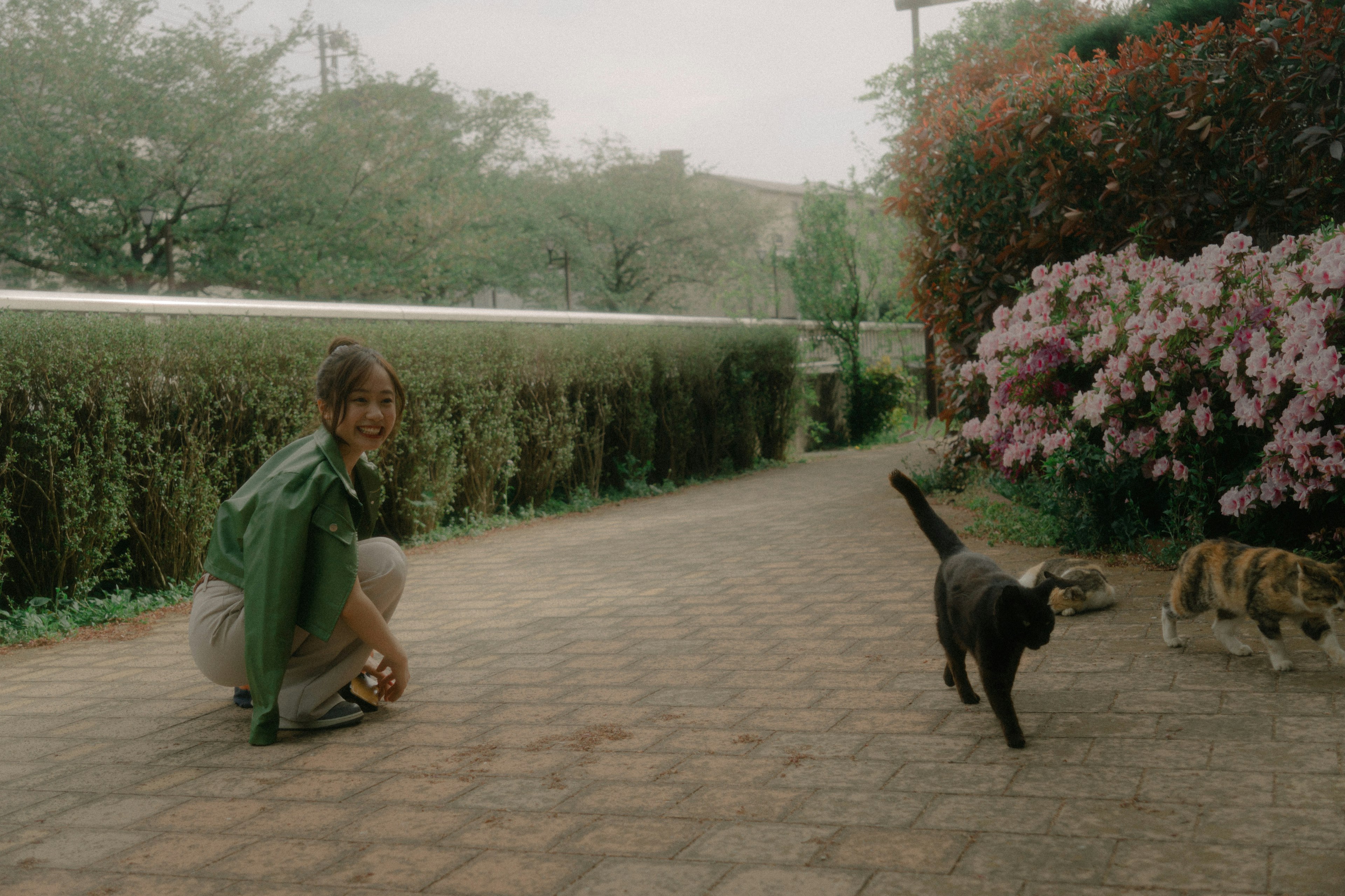 A woman playing with cats in a garden setting