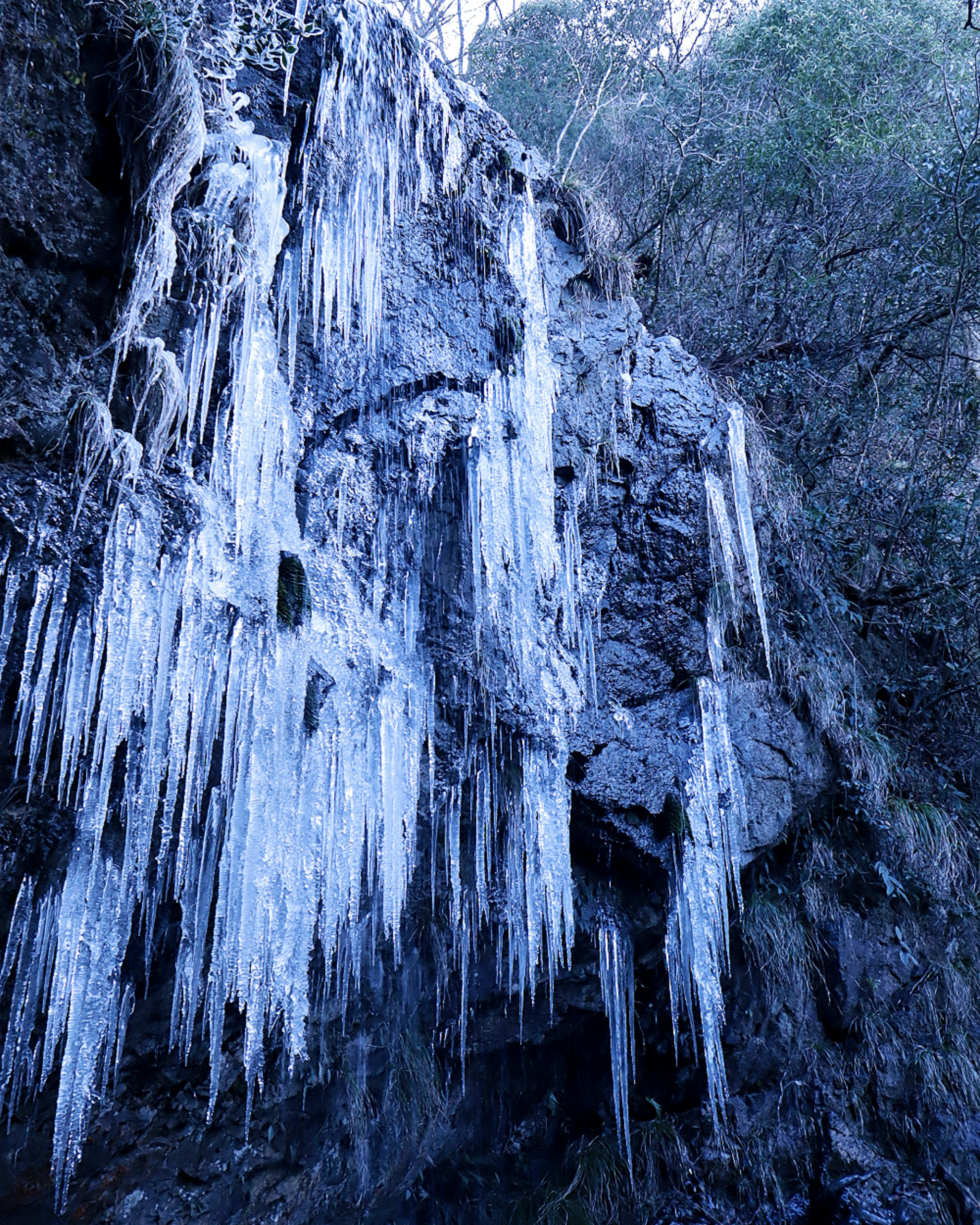 Ghiaccioli appesi a una parete rocciosa in un paesaggio invernale