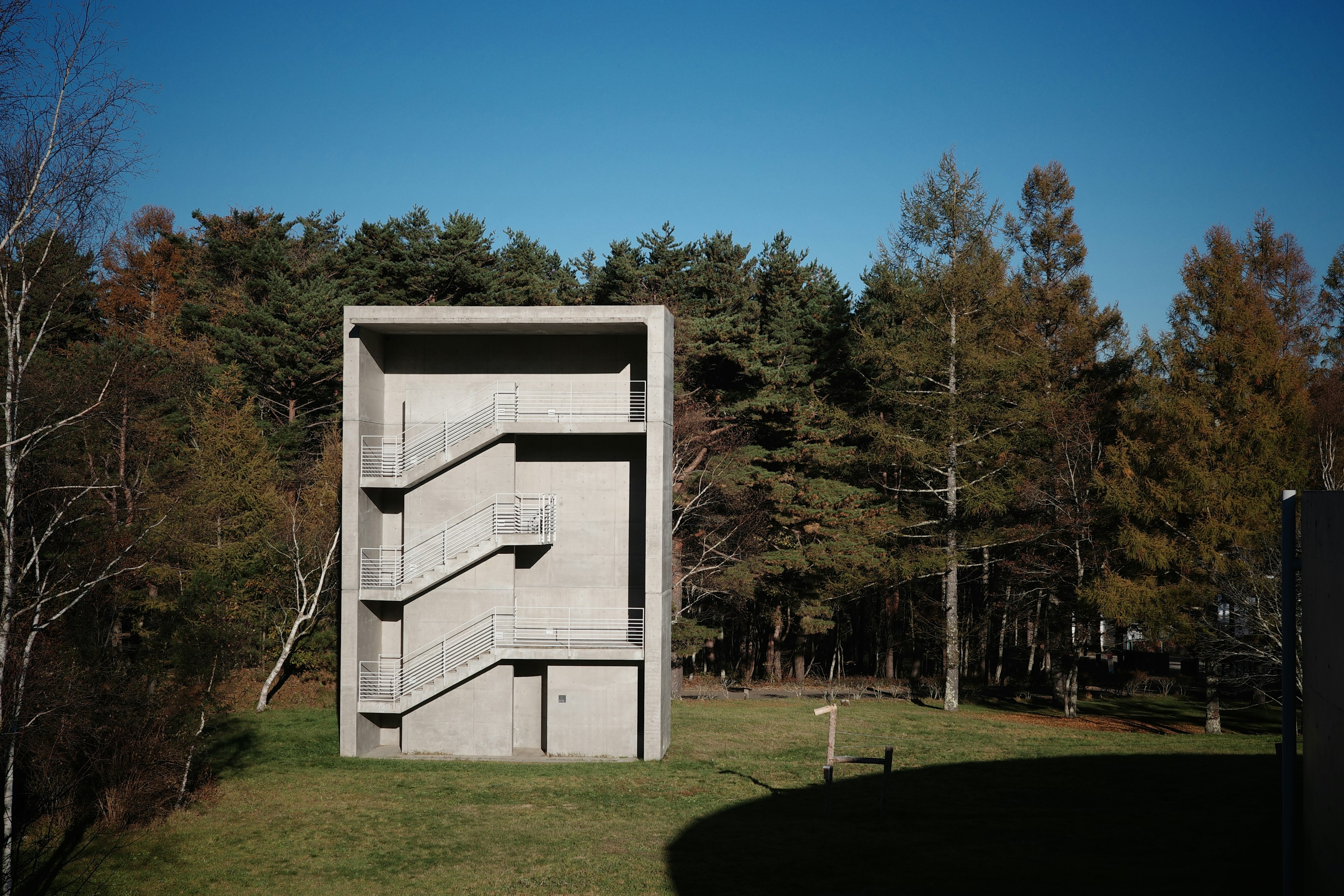 Modernes Betongebäude mit sichtbarem Treppenhaus umgeben von Wald