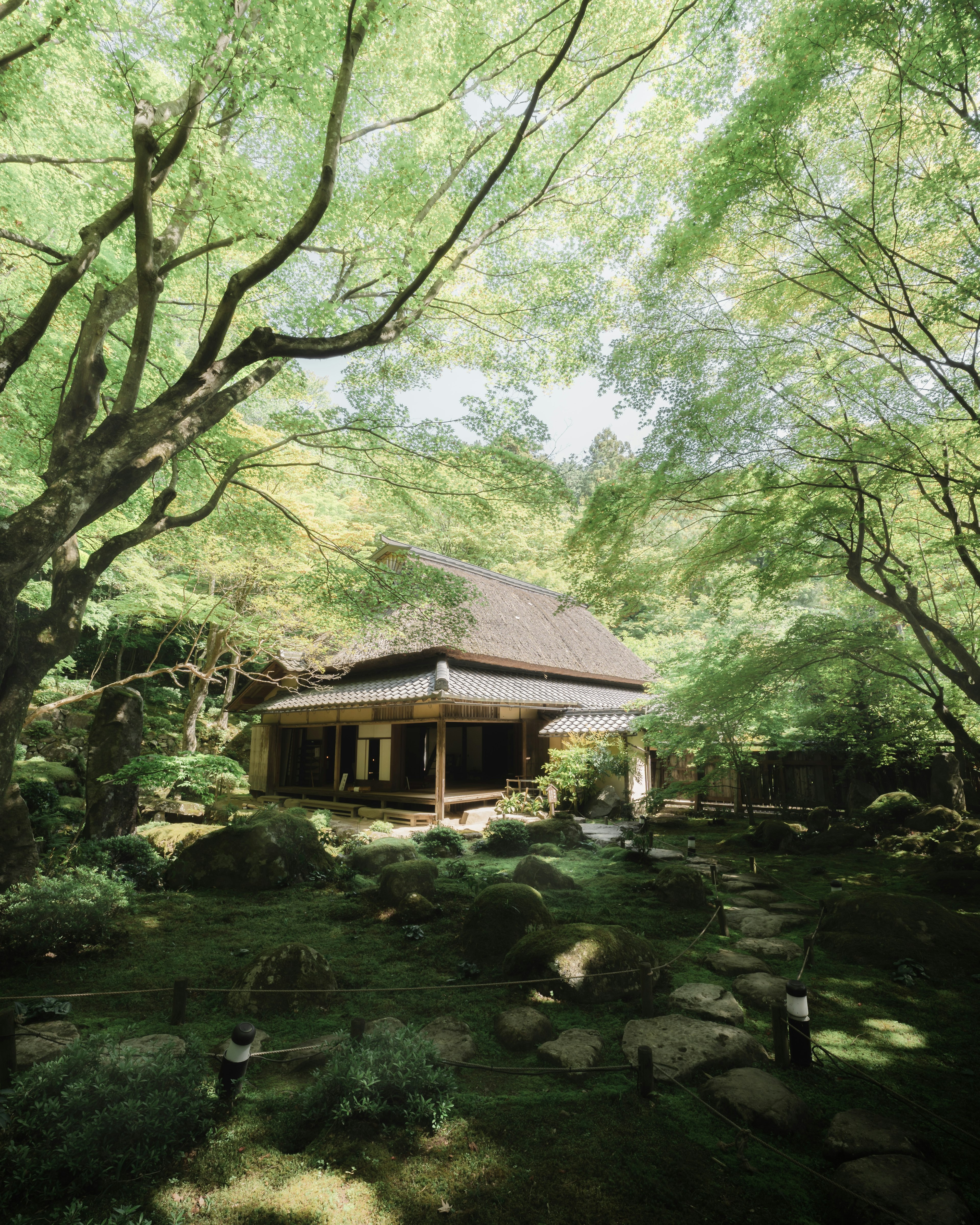 Traditionelles japanisches Haus umgeben von üppigen grünen Bäumen und Garten