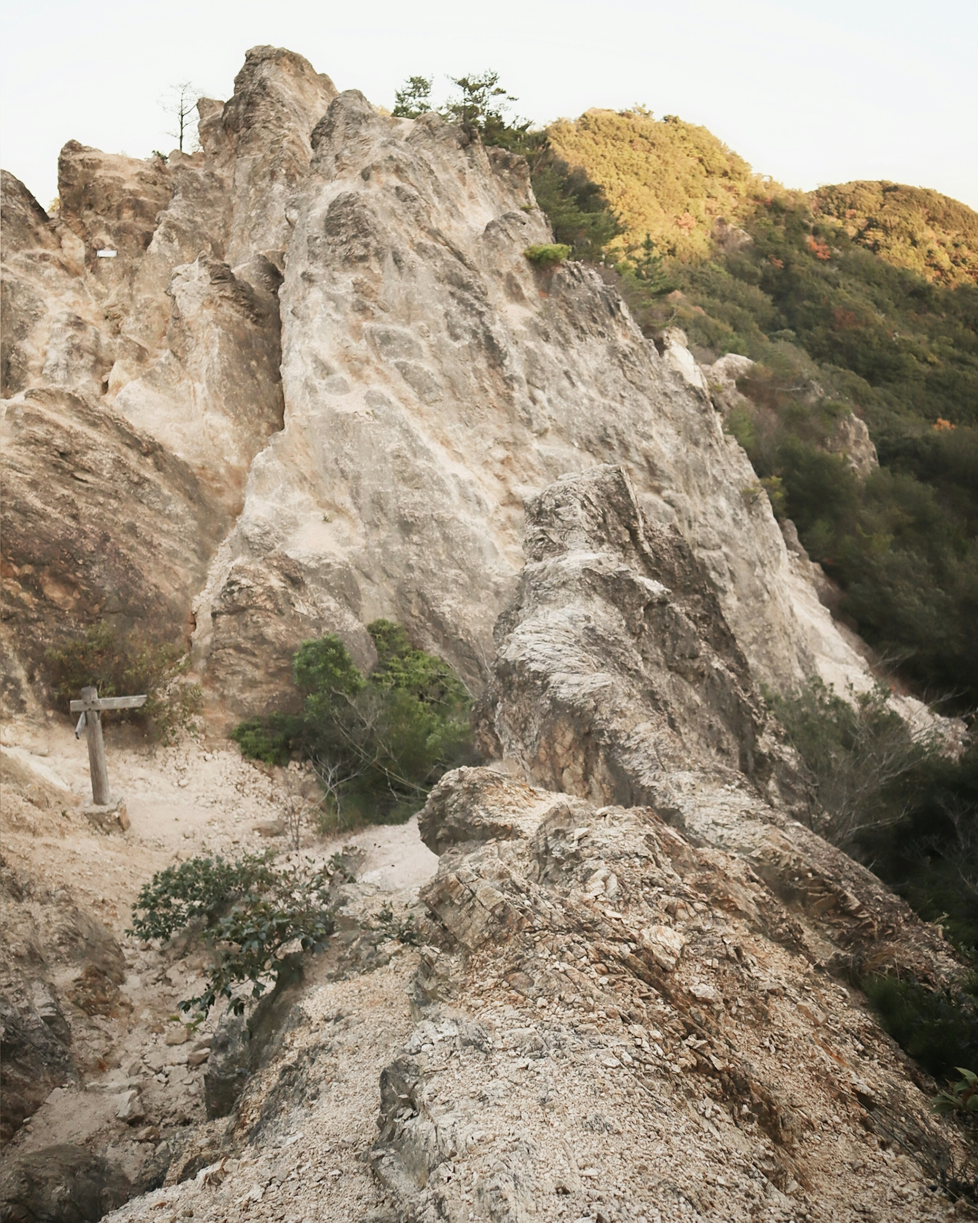 Rocky trail with green vegetation visible in the landscape