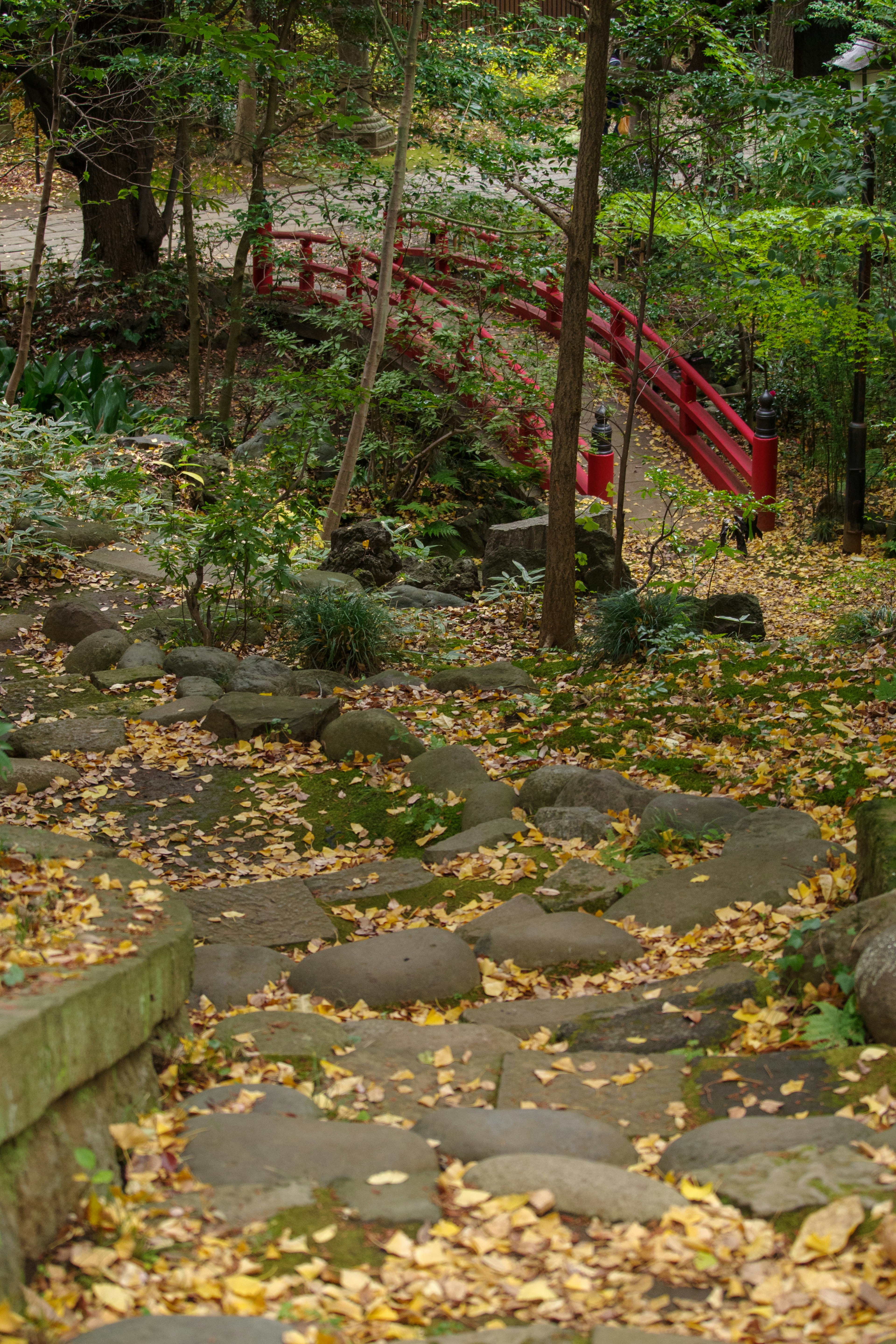 Steinweg mit gefallenen Blättern und einer roten Brücke