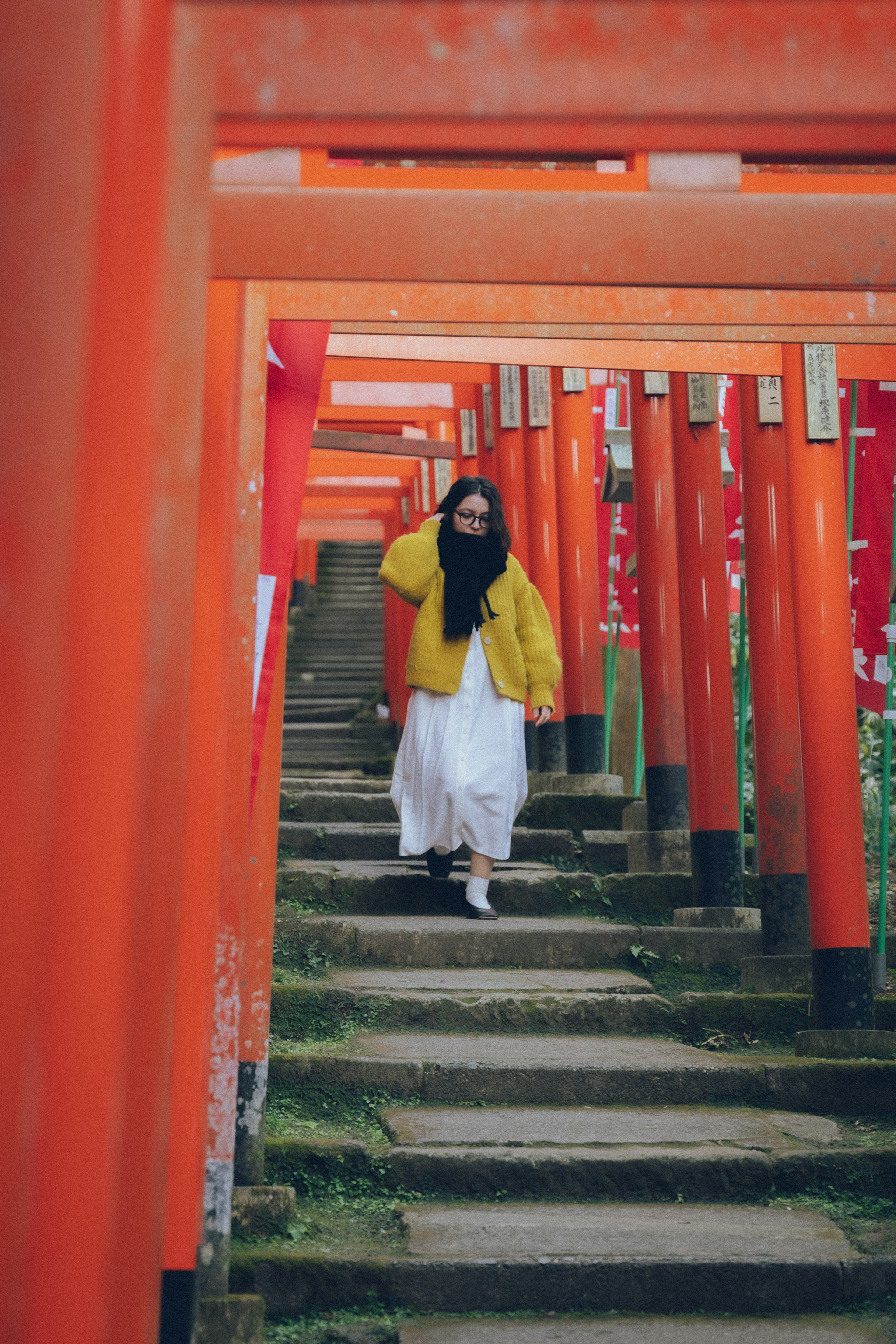 Người phụ nữ đi qua các cổng torii đỏ trên những bậc thang đá