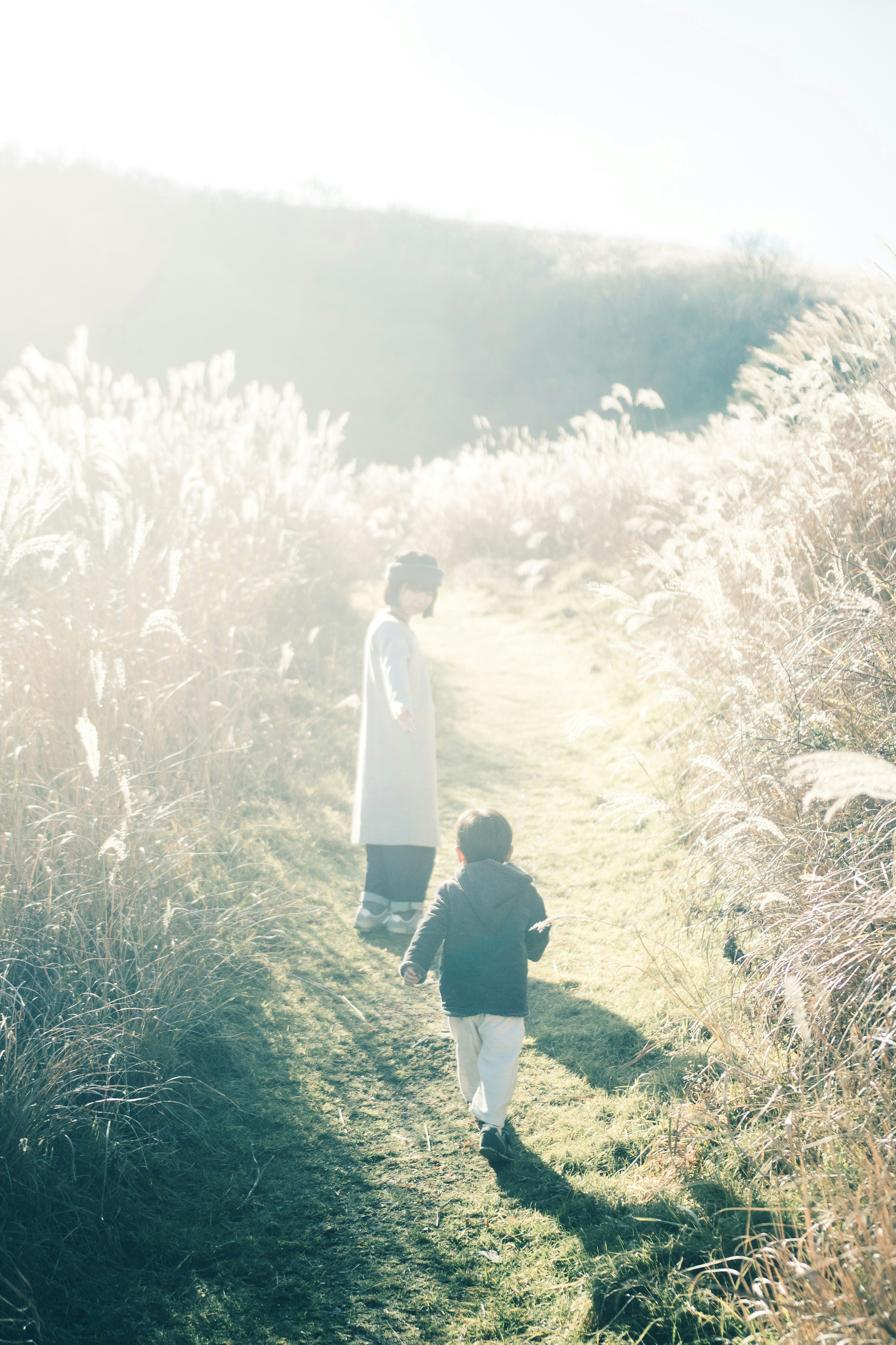 Silhouette of a parent and child walking along a calm path light filtering through swaying grass