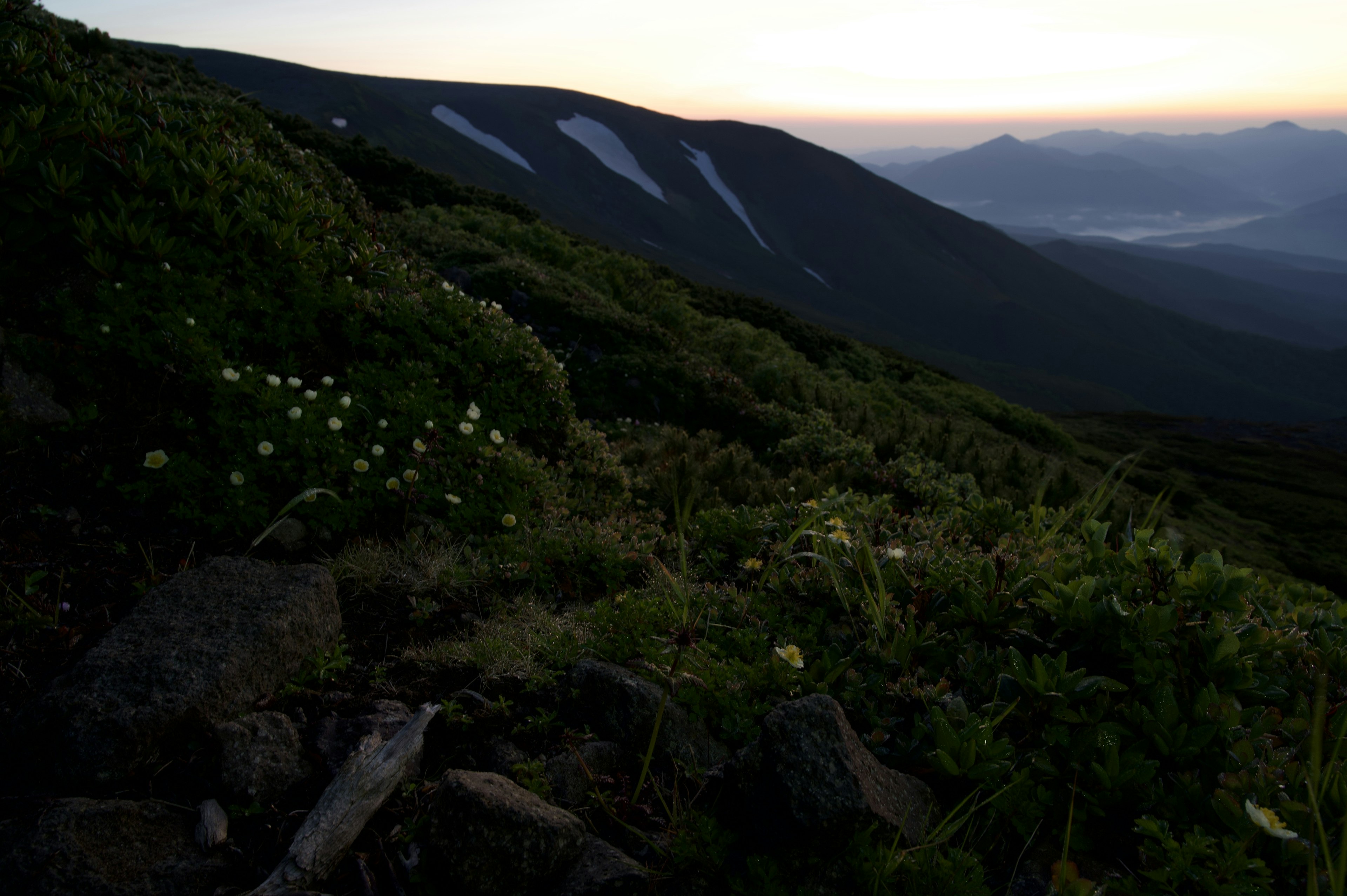 Berglandschaft bei Dämmerung mit grünem Gras und weißen Blumen sichtbare Bergkämme und entfernte Gipfel