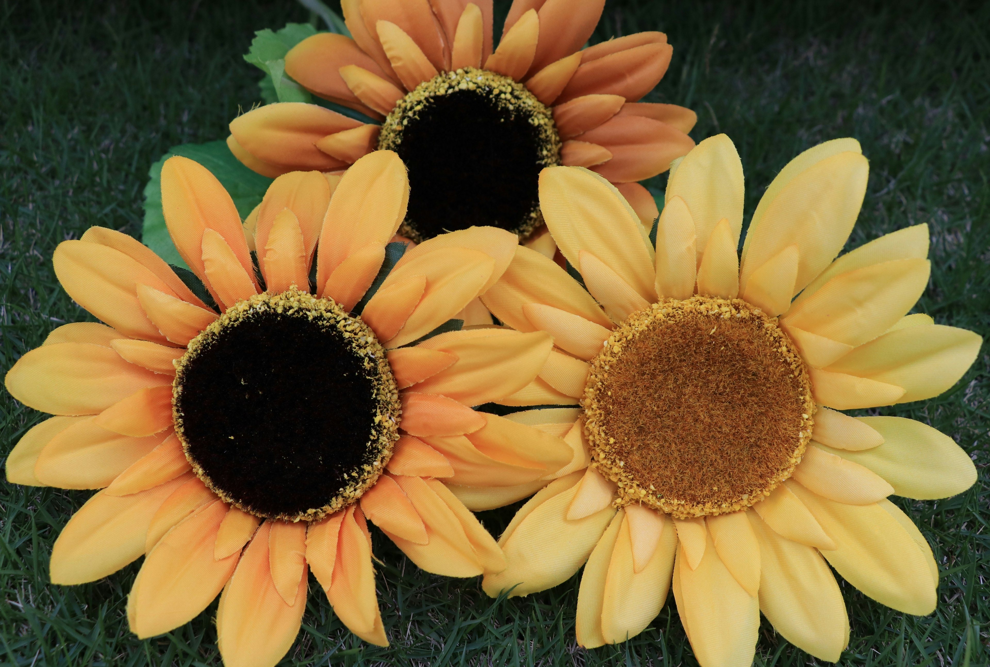 Three vibrant sunflowers with yellow petals and dark centers