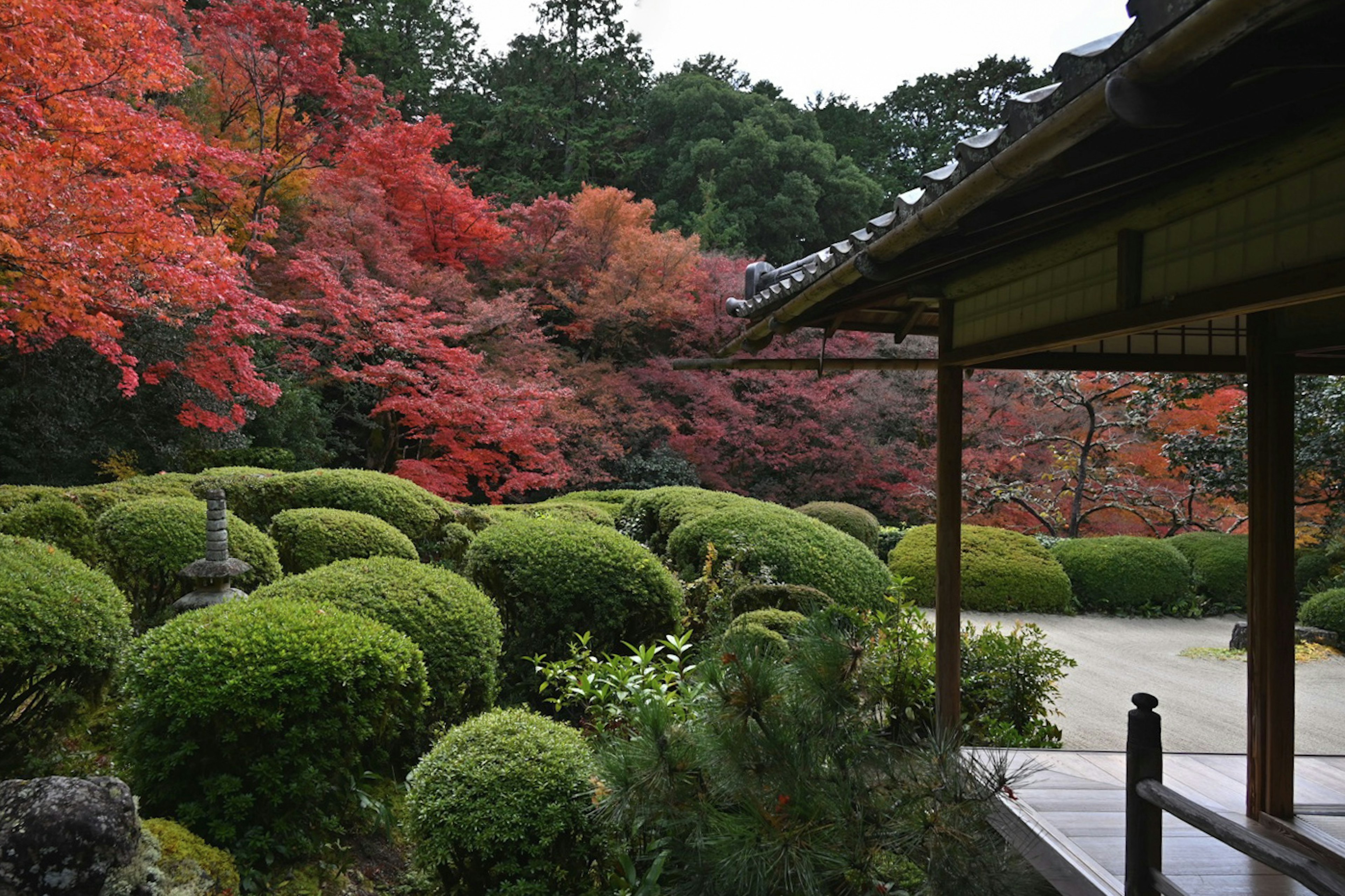 美しい紅葉に囲まれた日本の庭園の風景