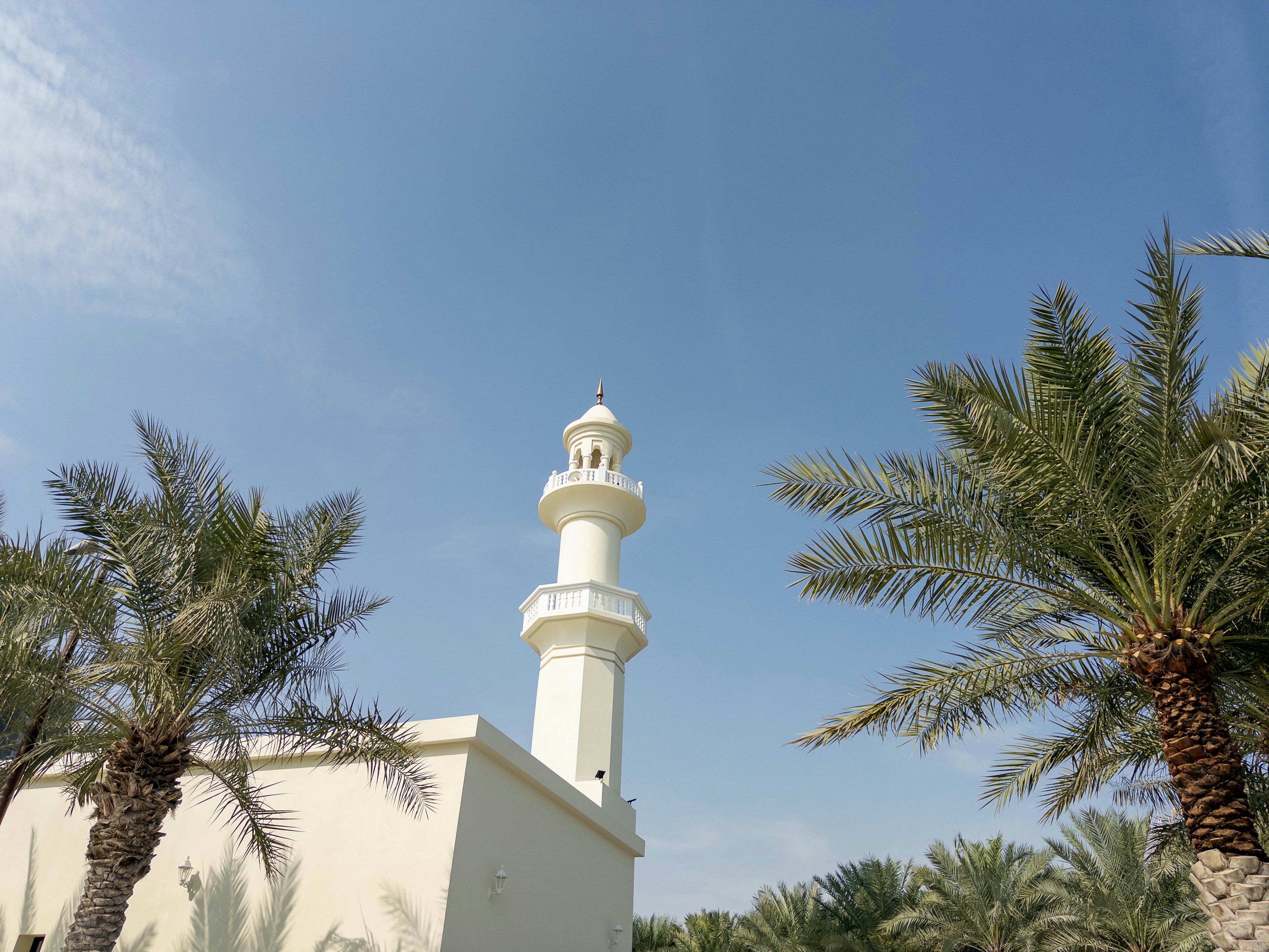 Weiße Moschee mit Minarett und Palmen unter blauem Himmel