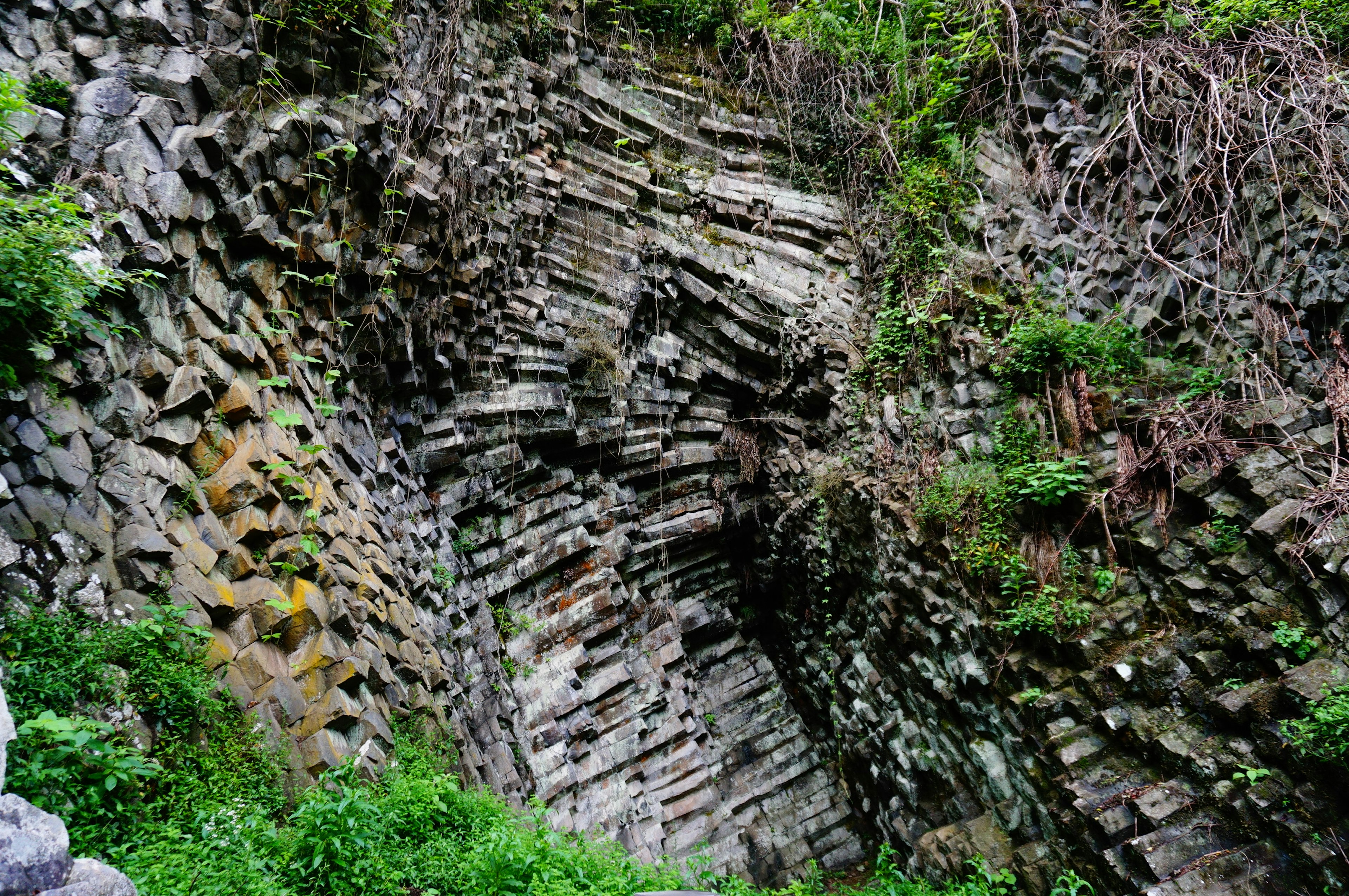 Formations rocheuses uniques avec une végétation luxuriante