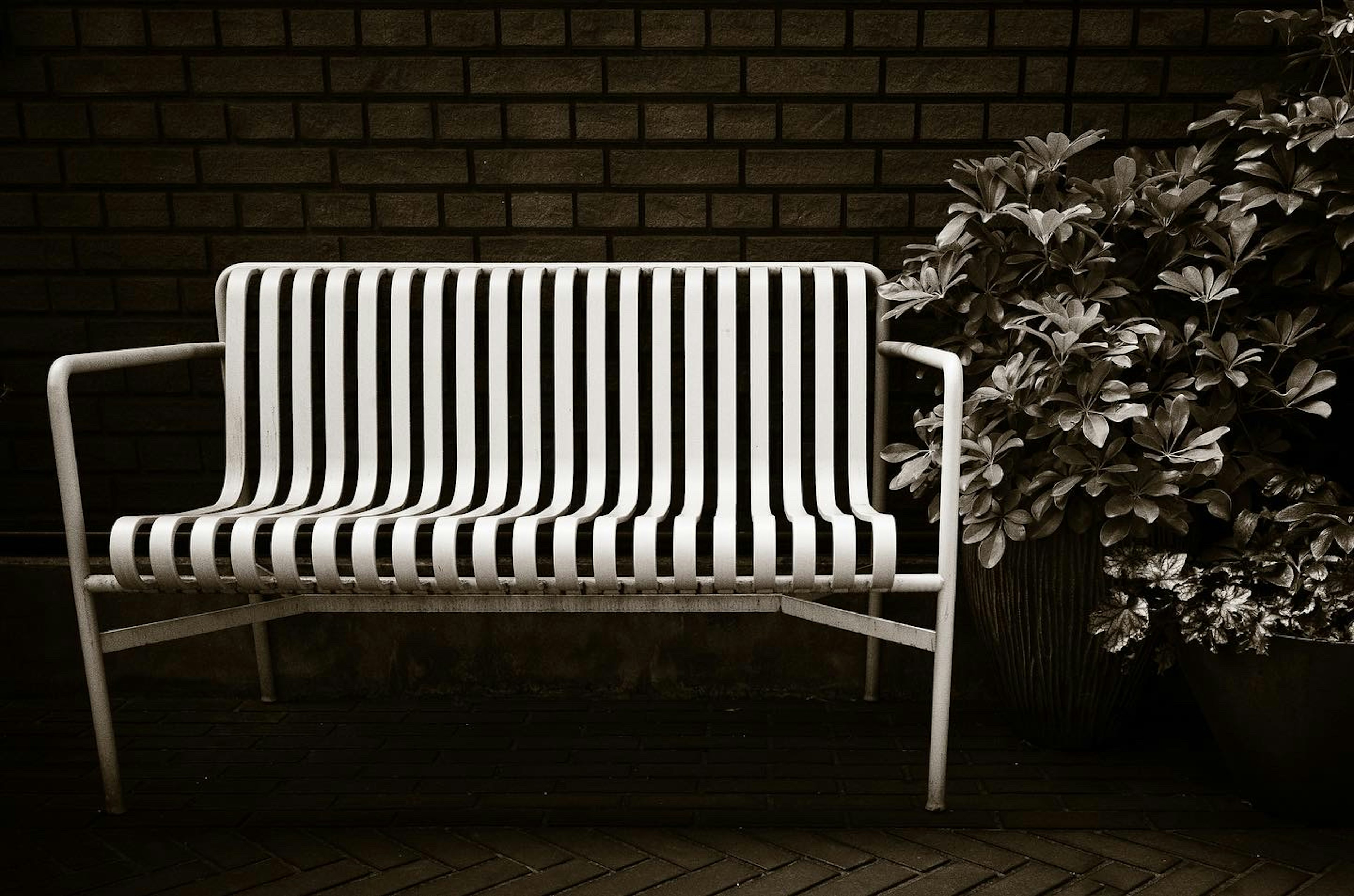 Un banc rayé noir et blanc à côté d'un feuillage vert sur un fond simple