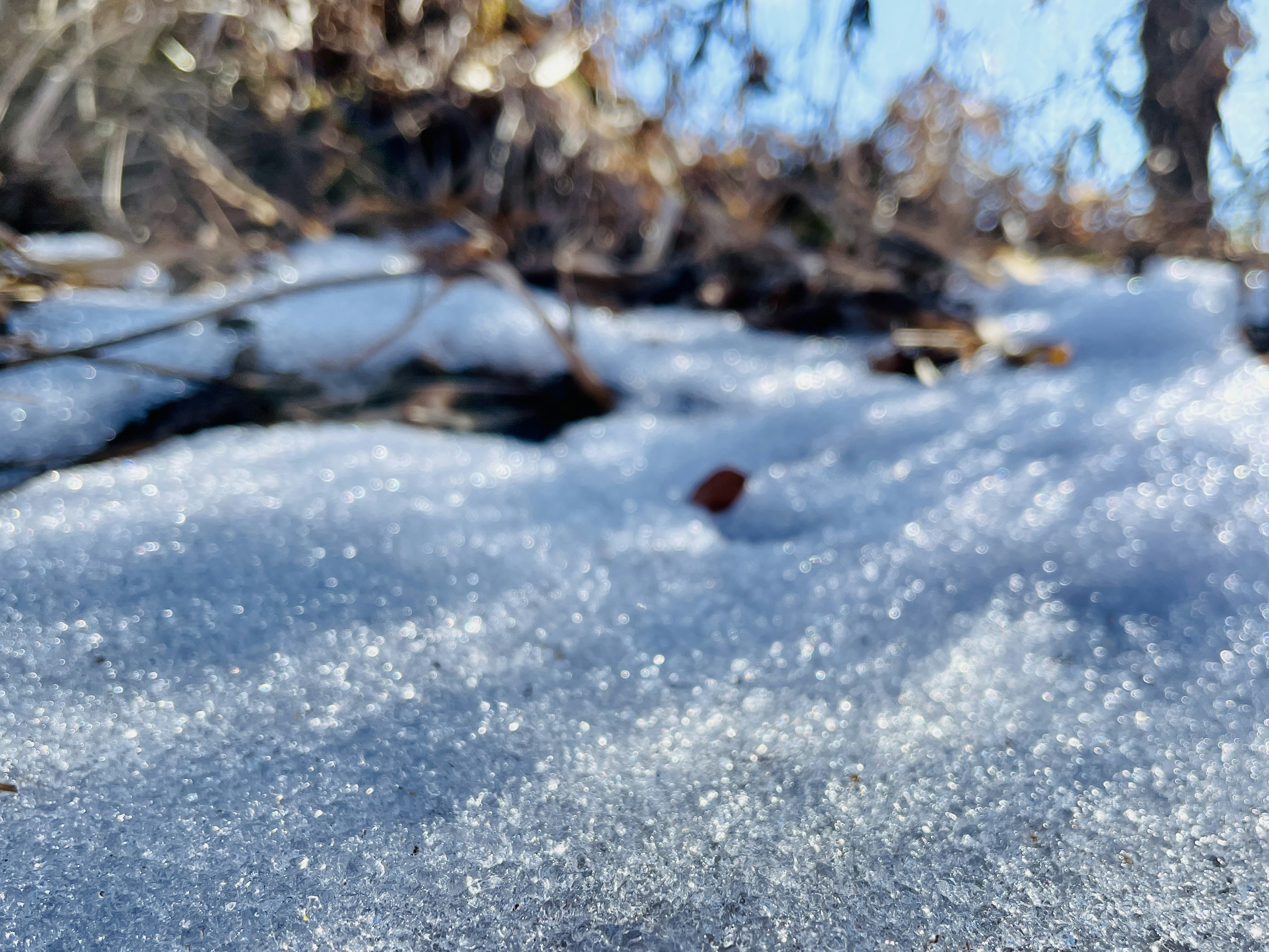 Close-up of sparkling snow with a small leaf and twigs in a winter landscape