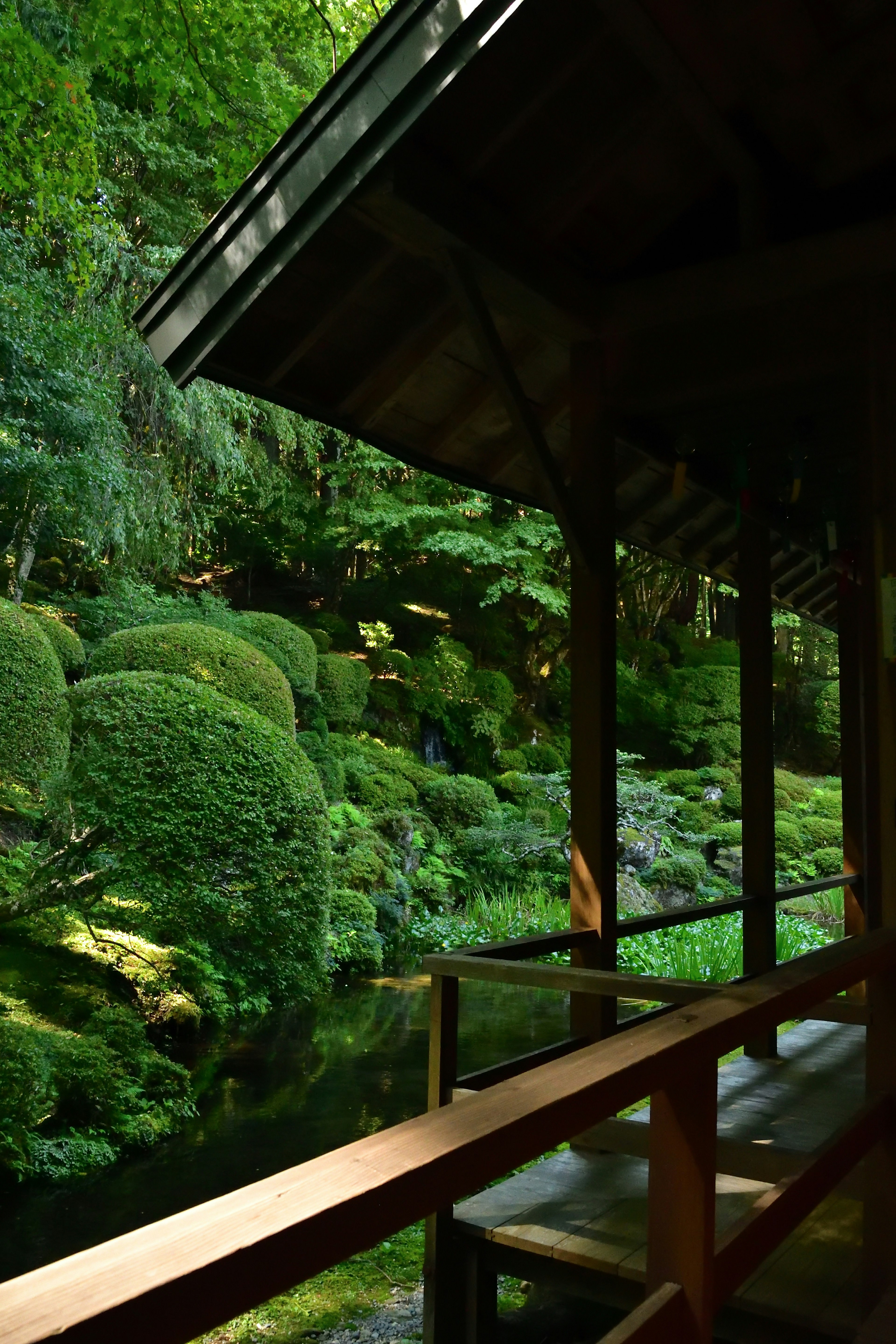 Escena de jardín japonés sereno con terraza de madera