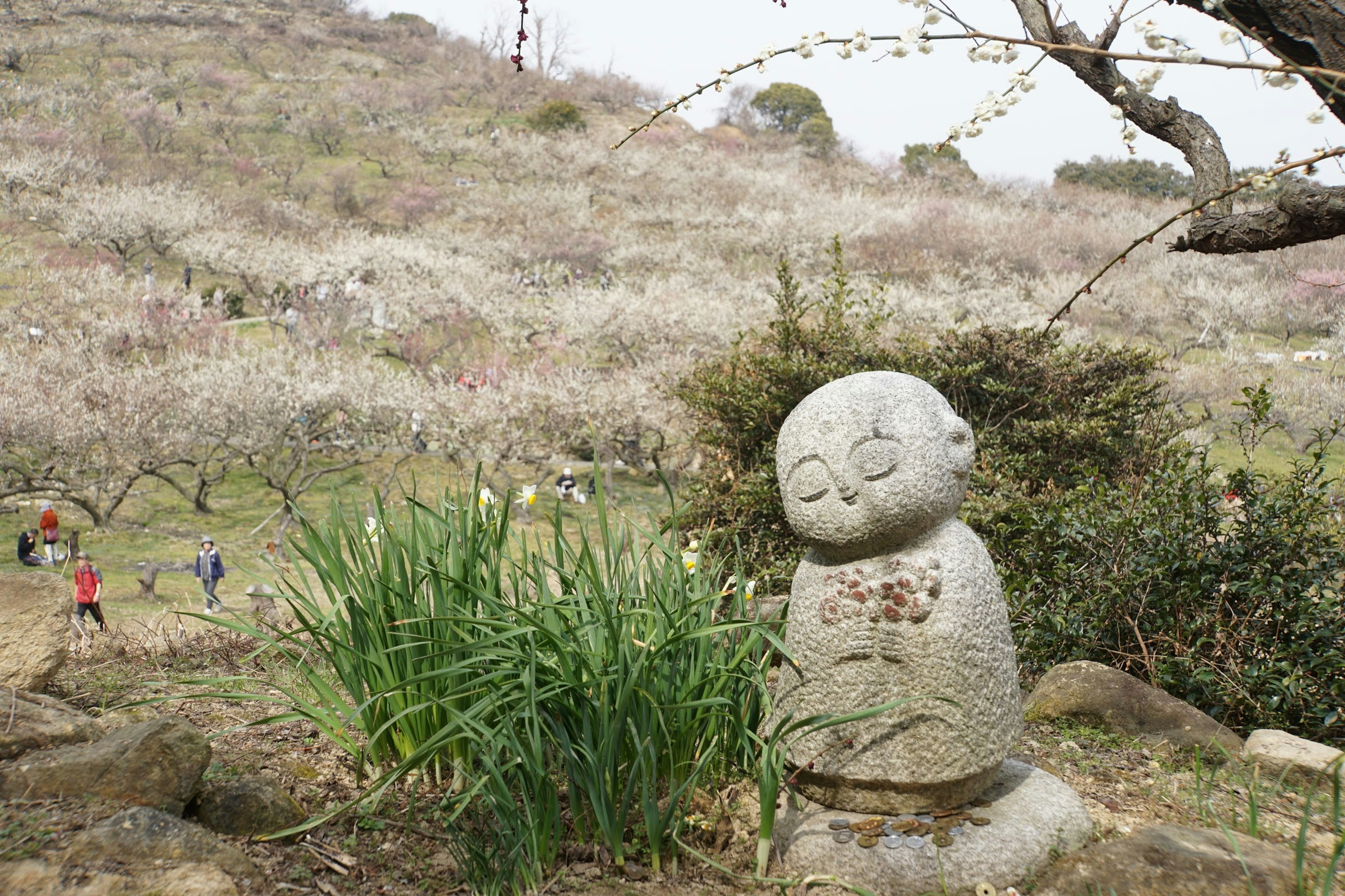 Statua di bambino in pietra circondata da vegetazione e fiori