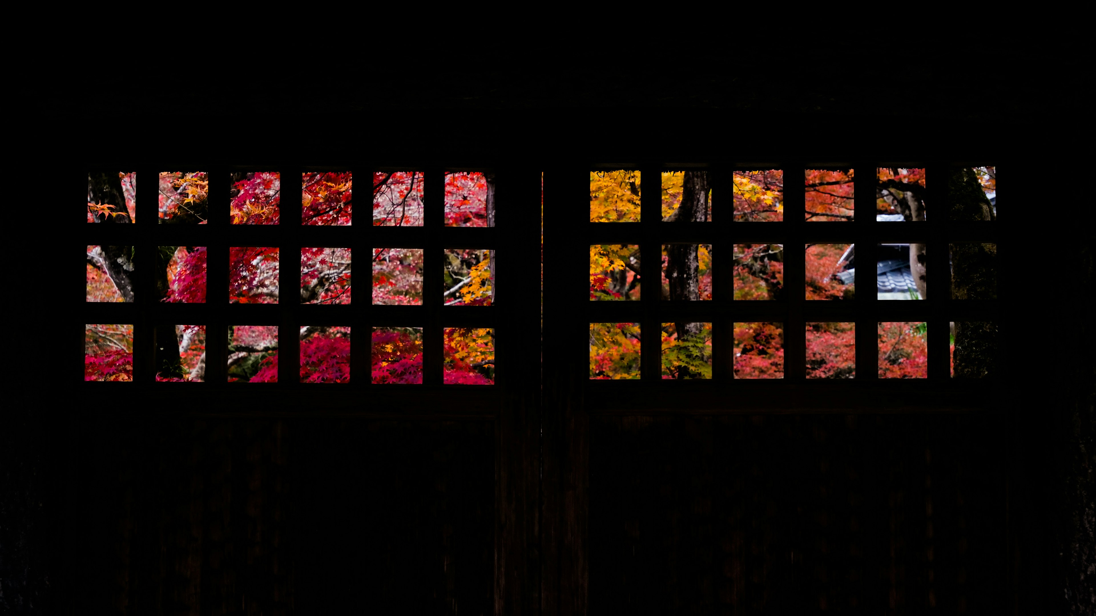 Window panels displaying colorful autumn leaves