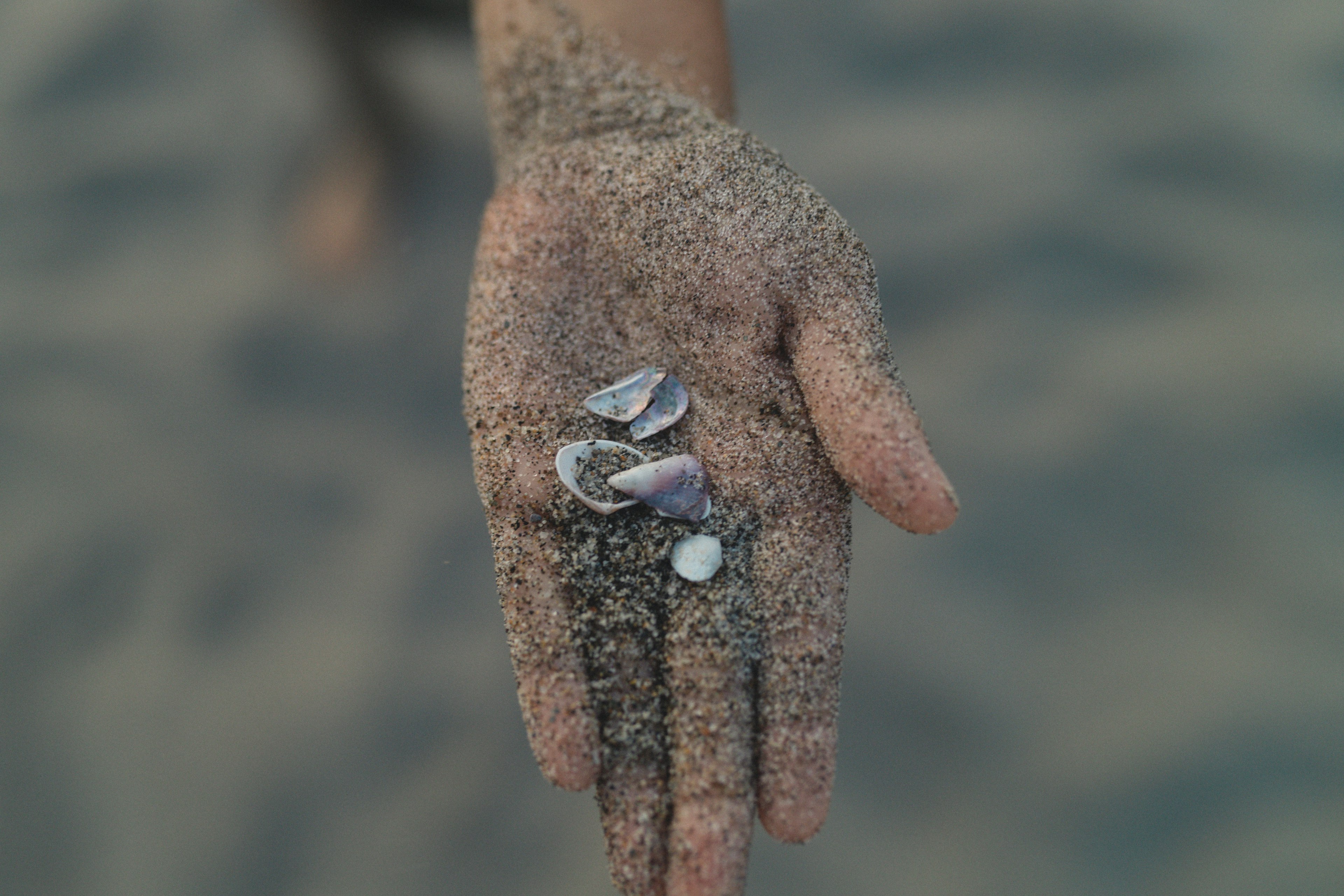 Mano sosteniendo conchas y arena en una playa