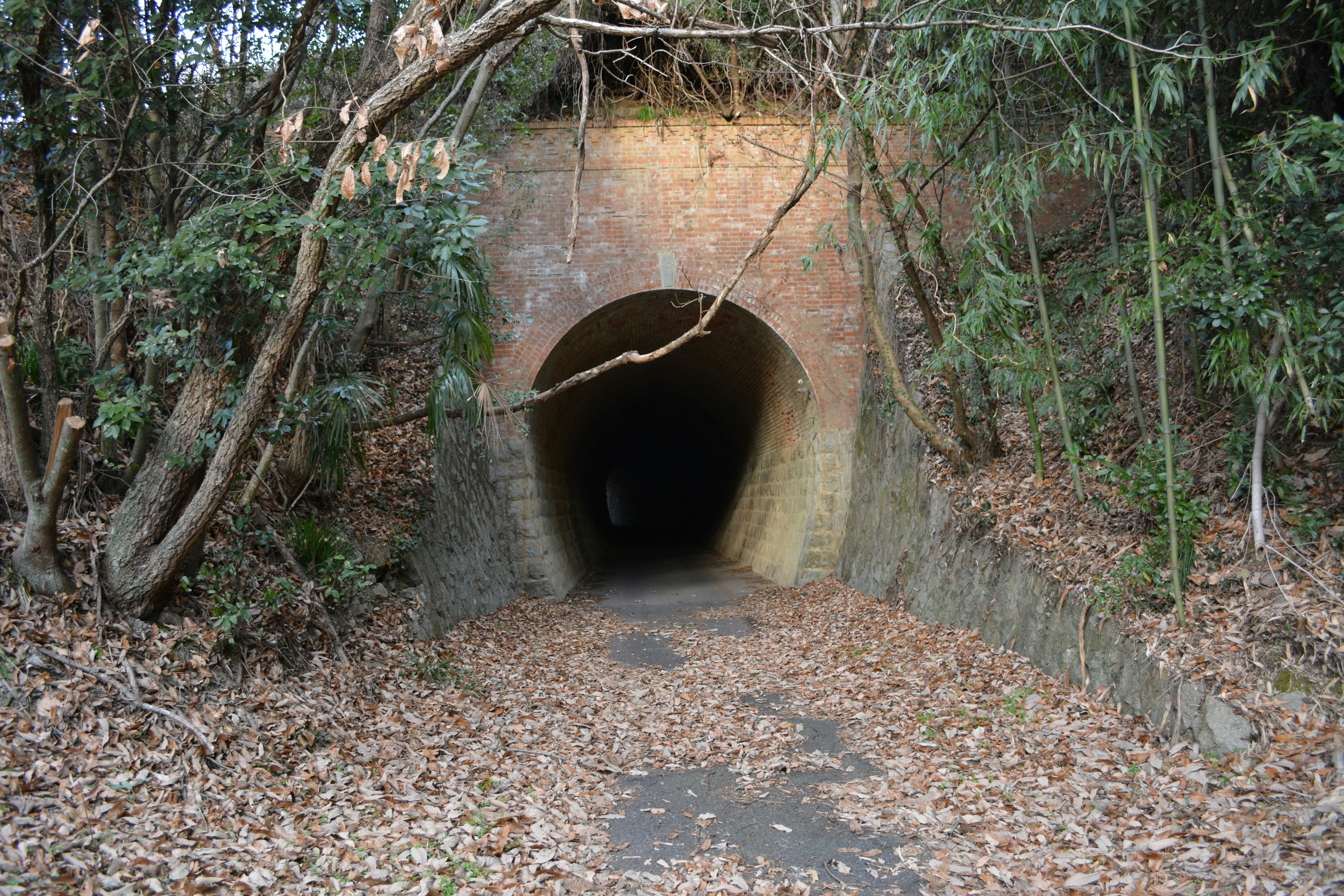 Entrada de un antiguo túnel de ladrillos rodeado de bosque con un camino cubierto de hojas