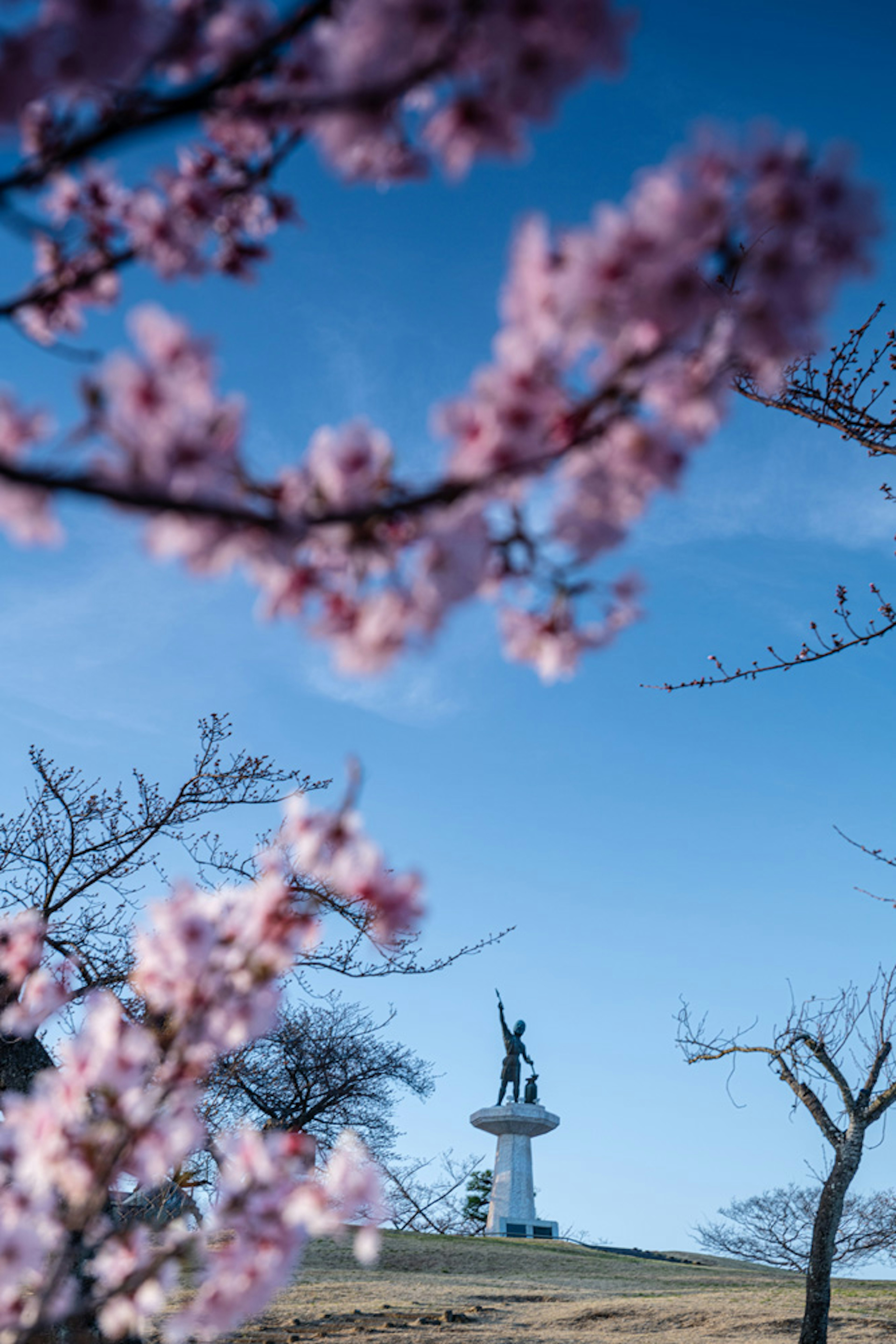 桜の花と青空の背景に立つ像