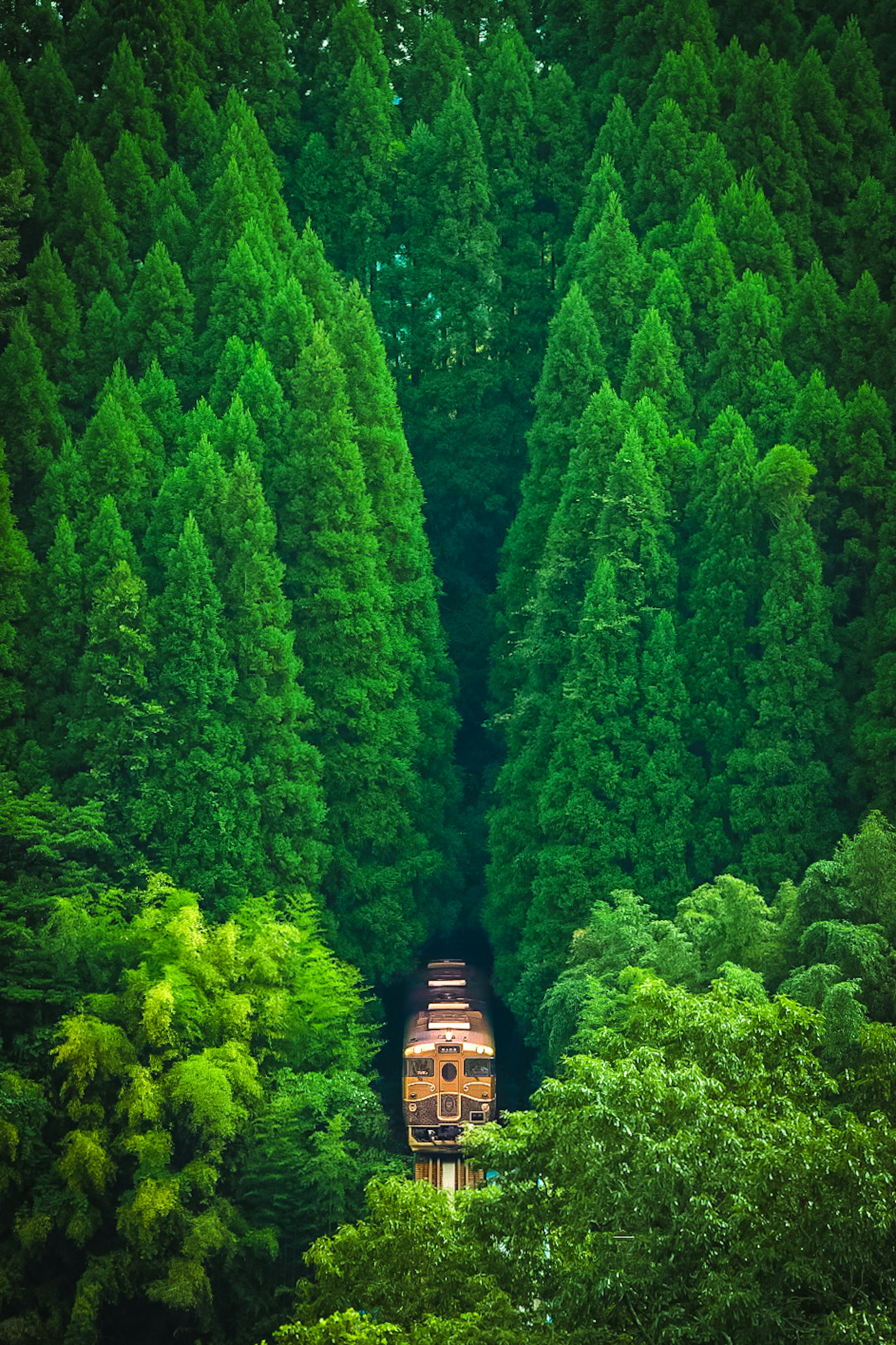 photo-LMr3ZmSQrRkM7yuMvysq-image