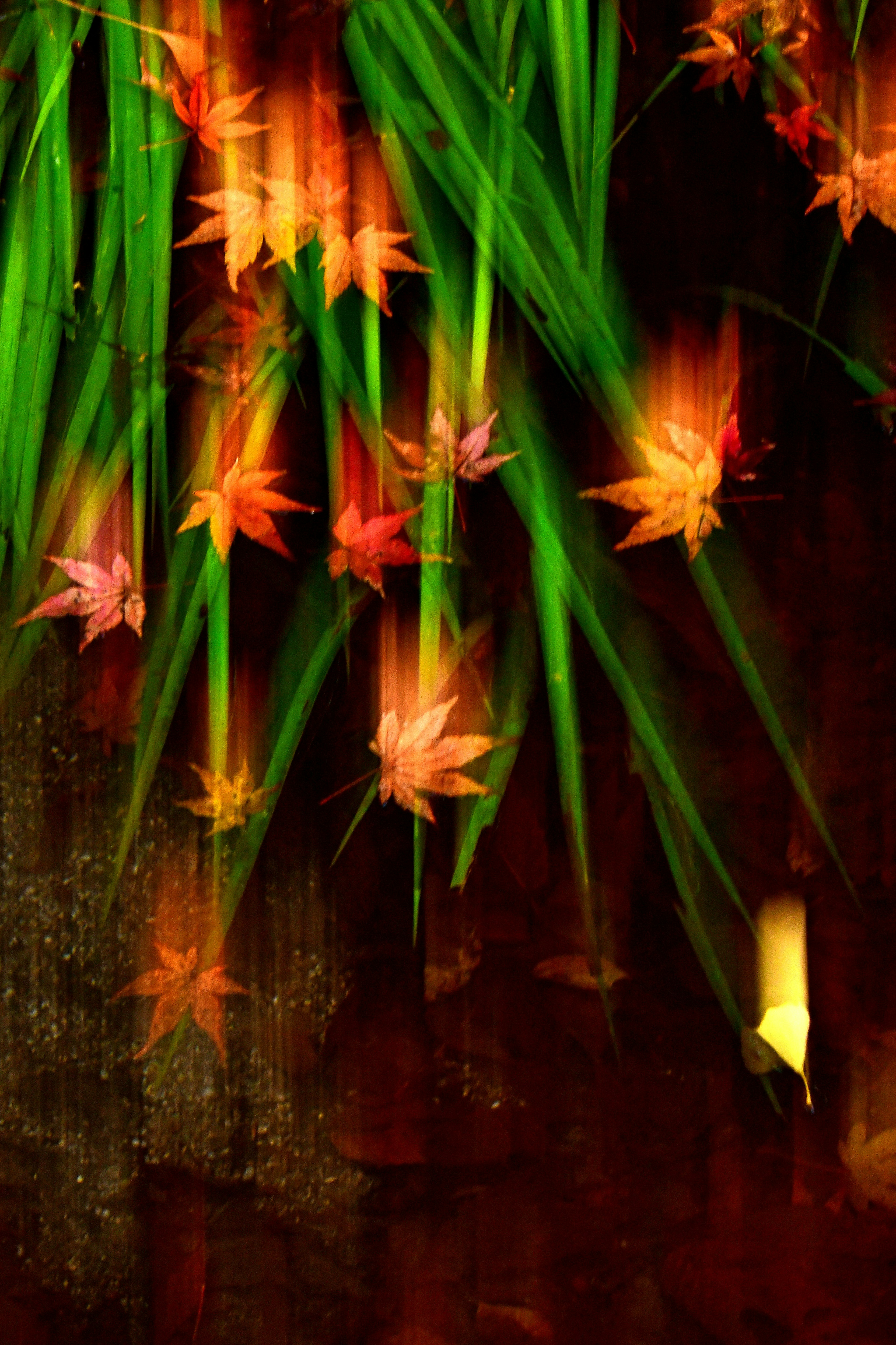 Beautiful abstract image featuring vibrant red and orange leaves interspersed with green grass