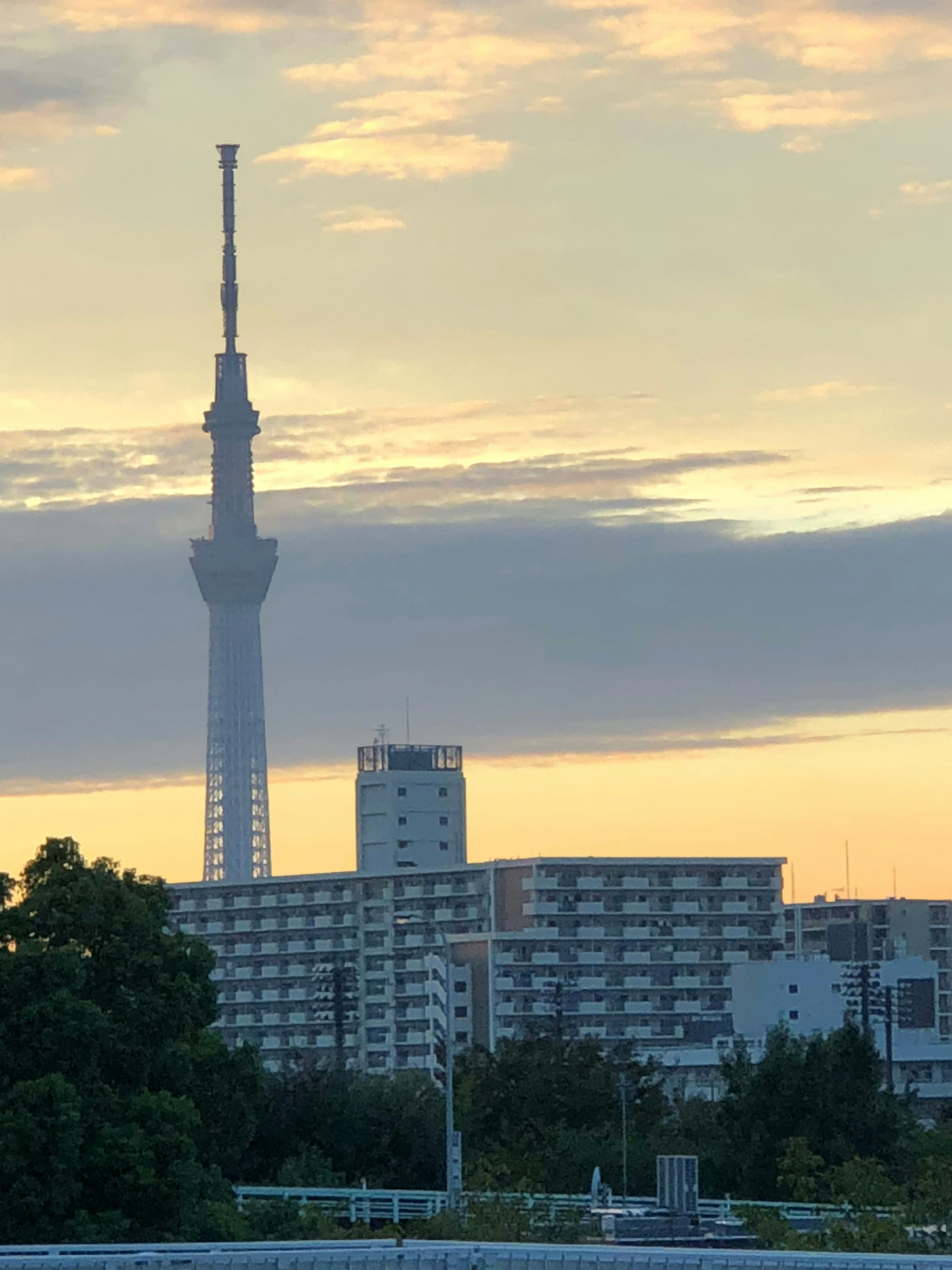 Silhouette del Tokyo Skytree al tramonto con edifici circostanti