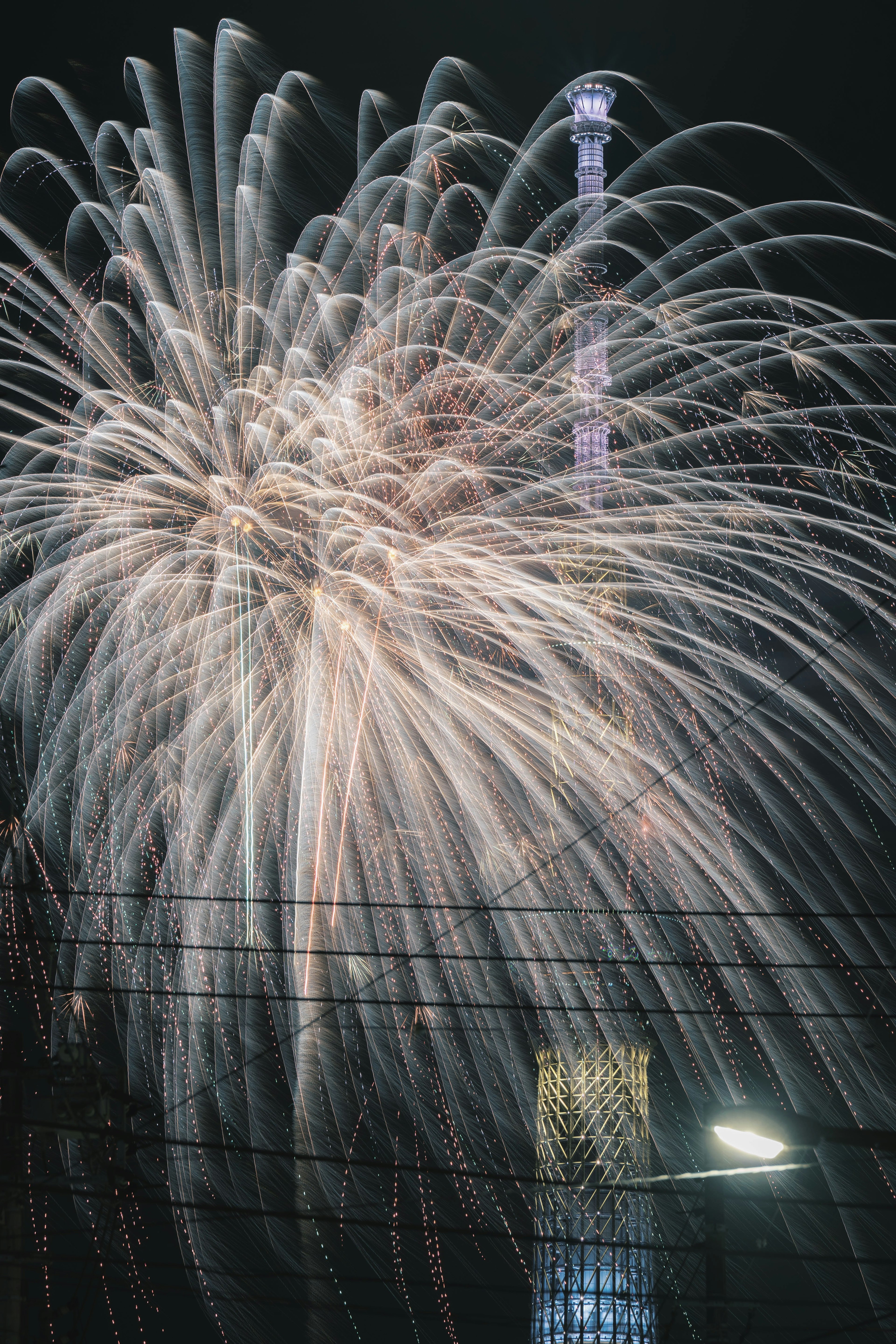 東京スカイツリーの背景に広がる花火の美しいショー