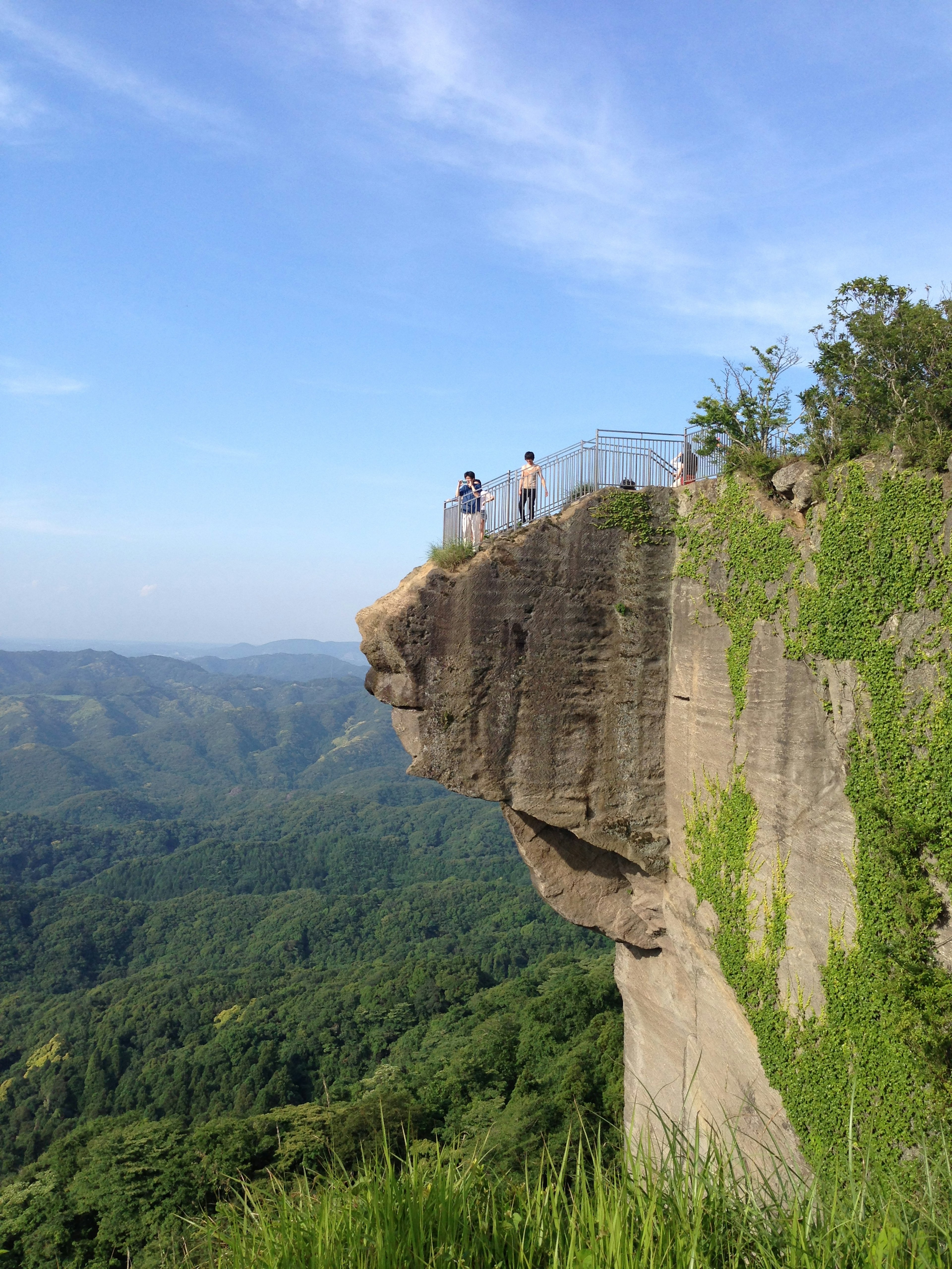 People standing on a cliff edge overlooking a lush green valley