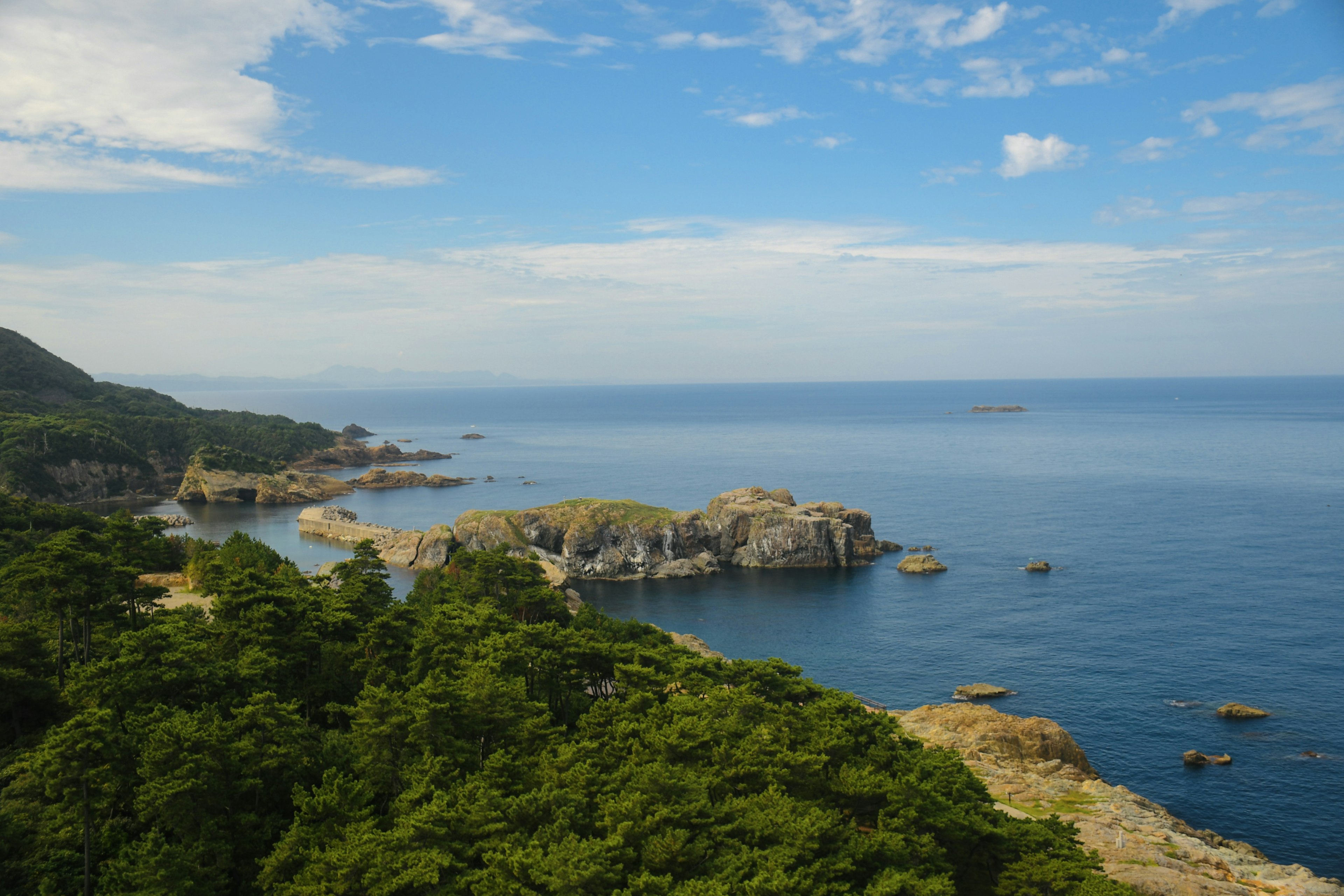 美麗的海岸風景，藍色海洋和郁郁蔥蔥的森林