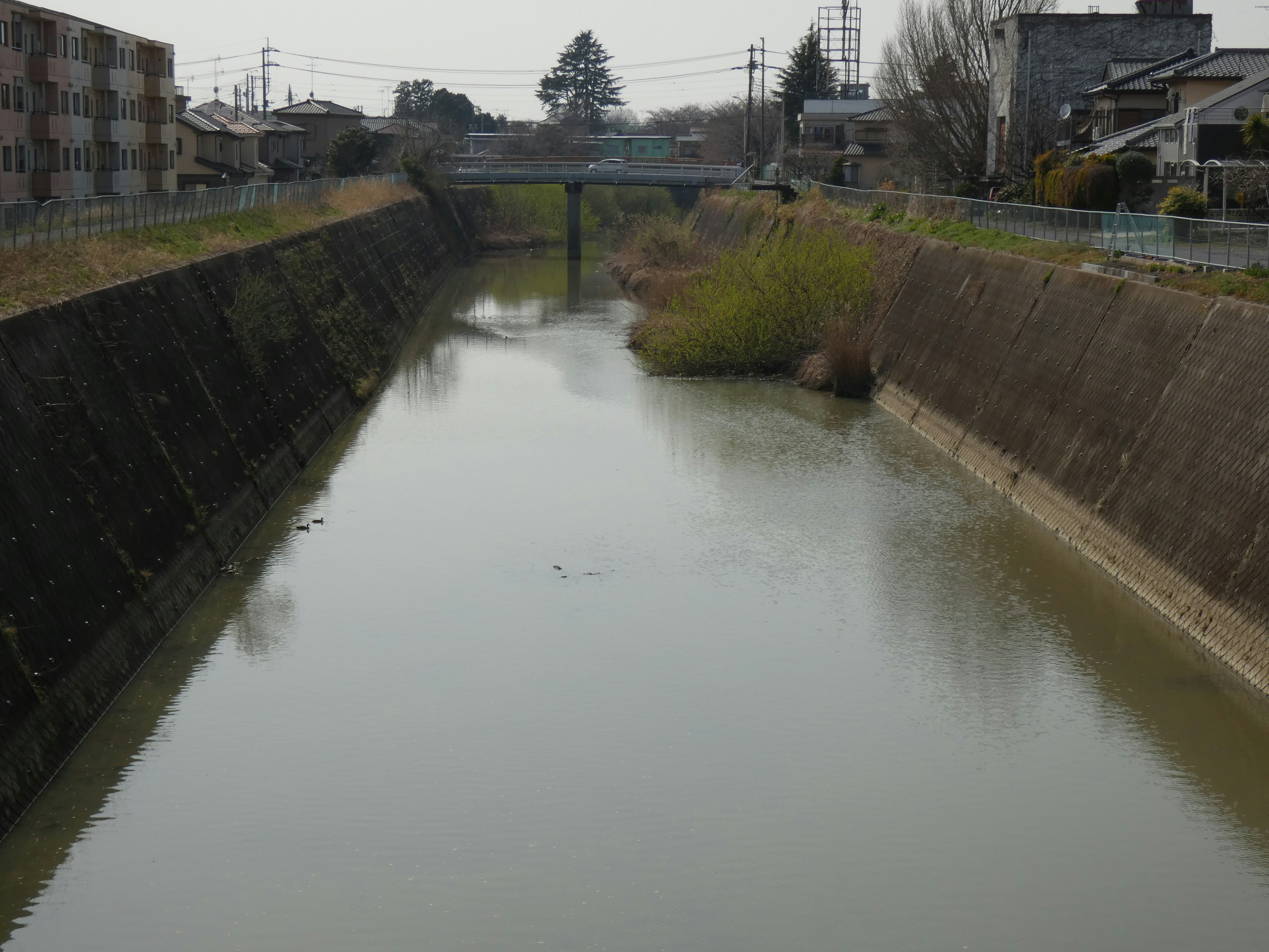 Calm river scene with surrounding buildings