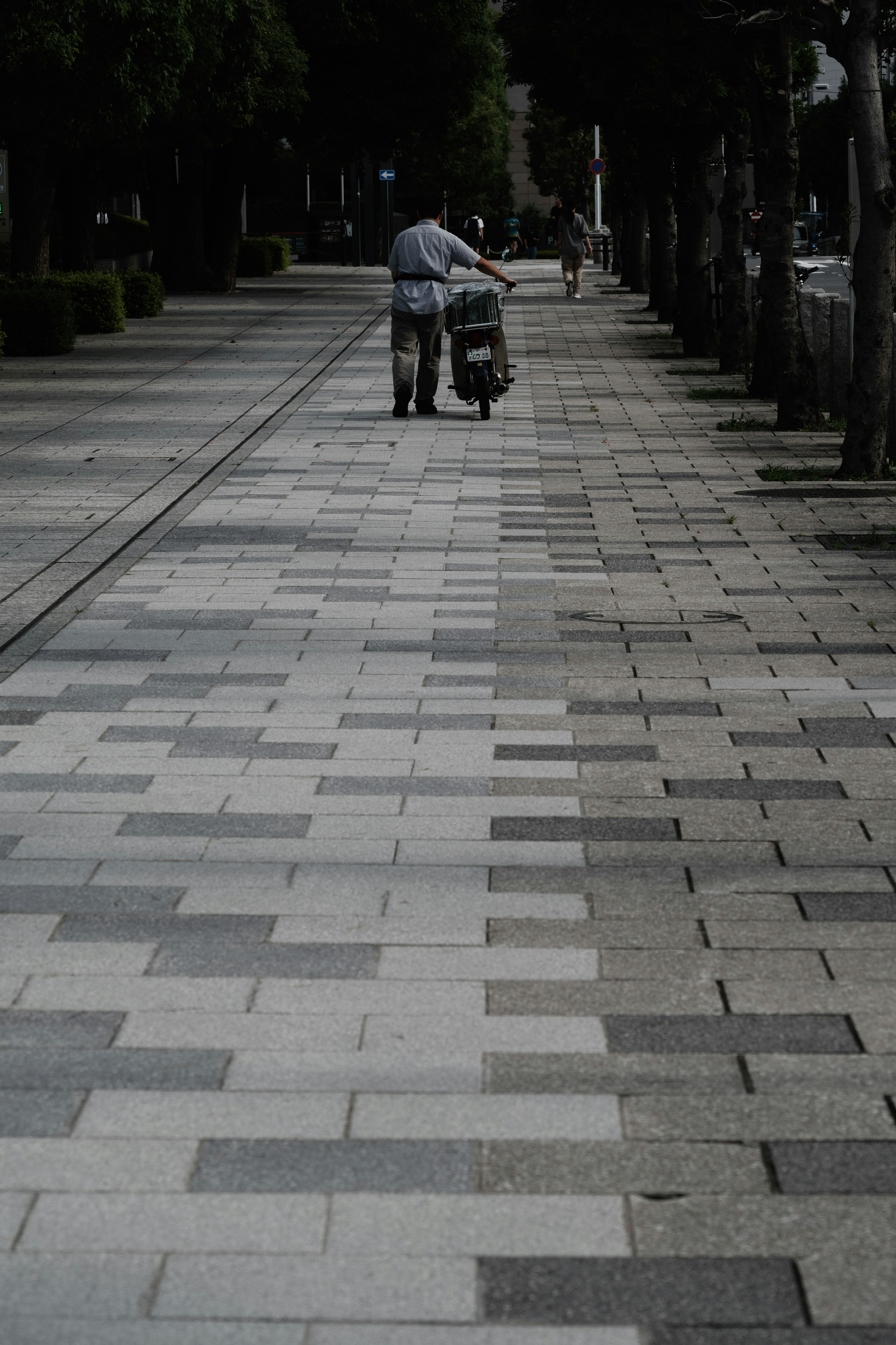 Una persona caminando por una acera pavimentada con un carrito