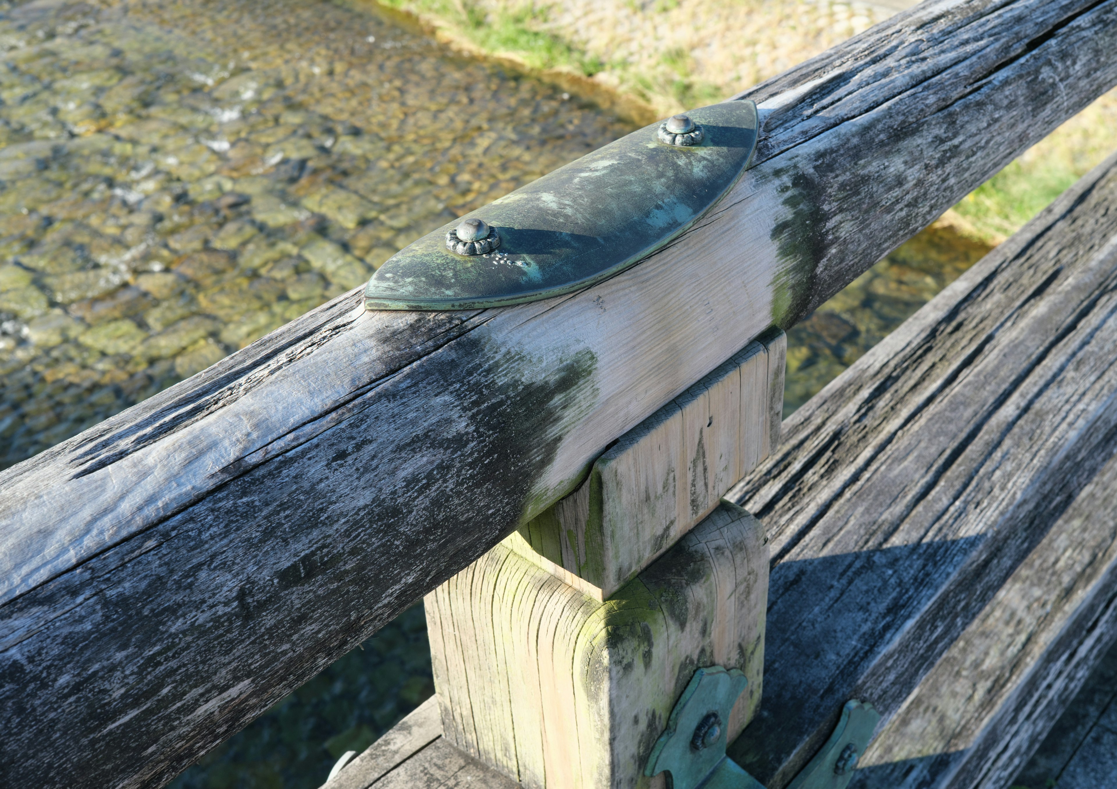 Close-up of a wooden railing with moss and natural textures