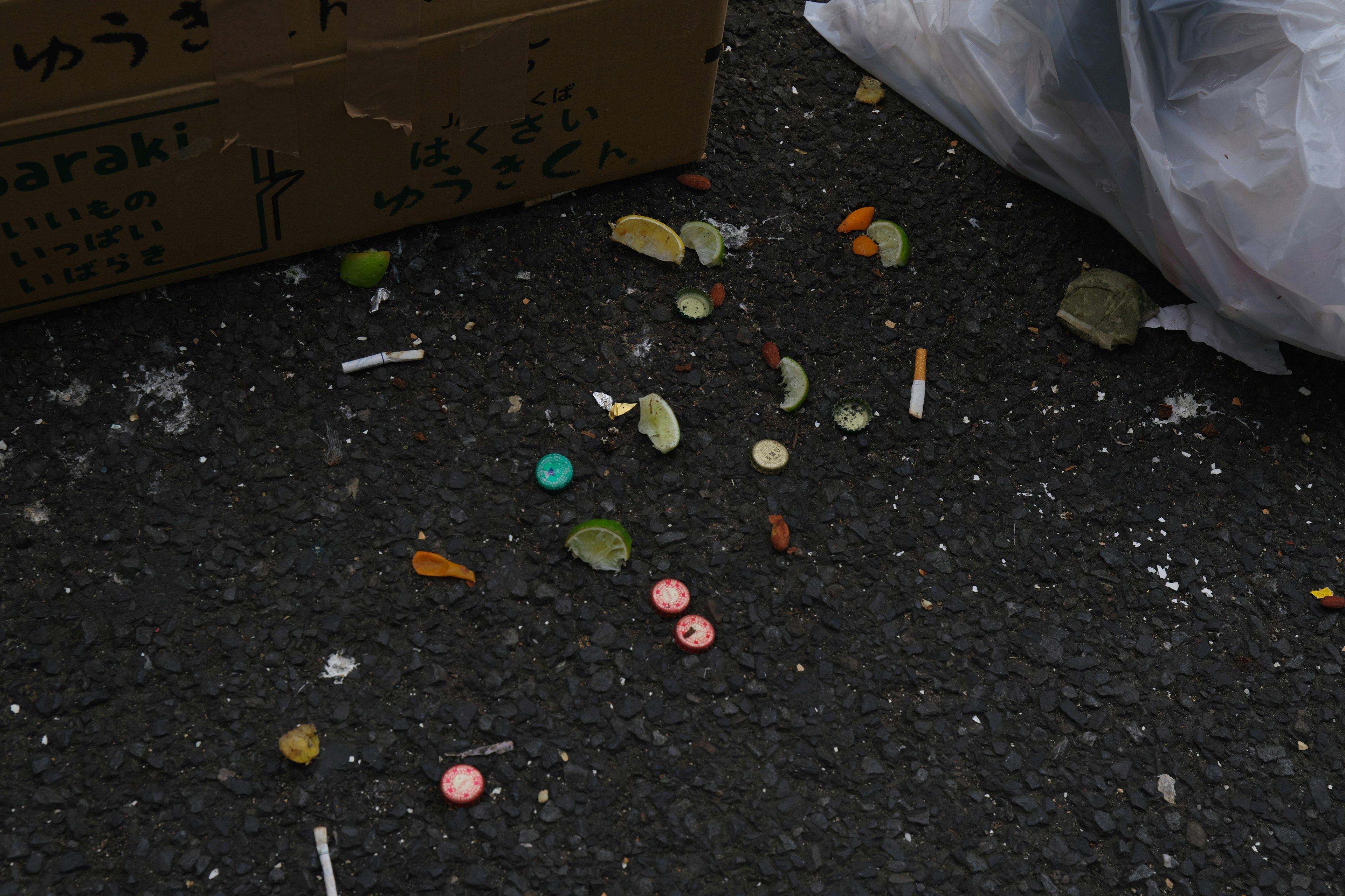 Colorful debris and leaves scattered on the ground