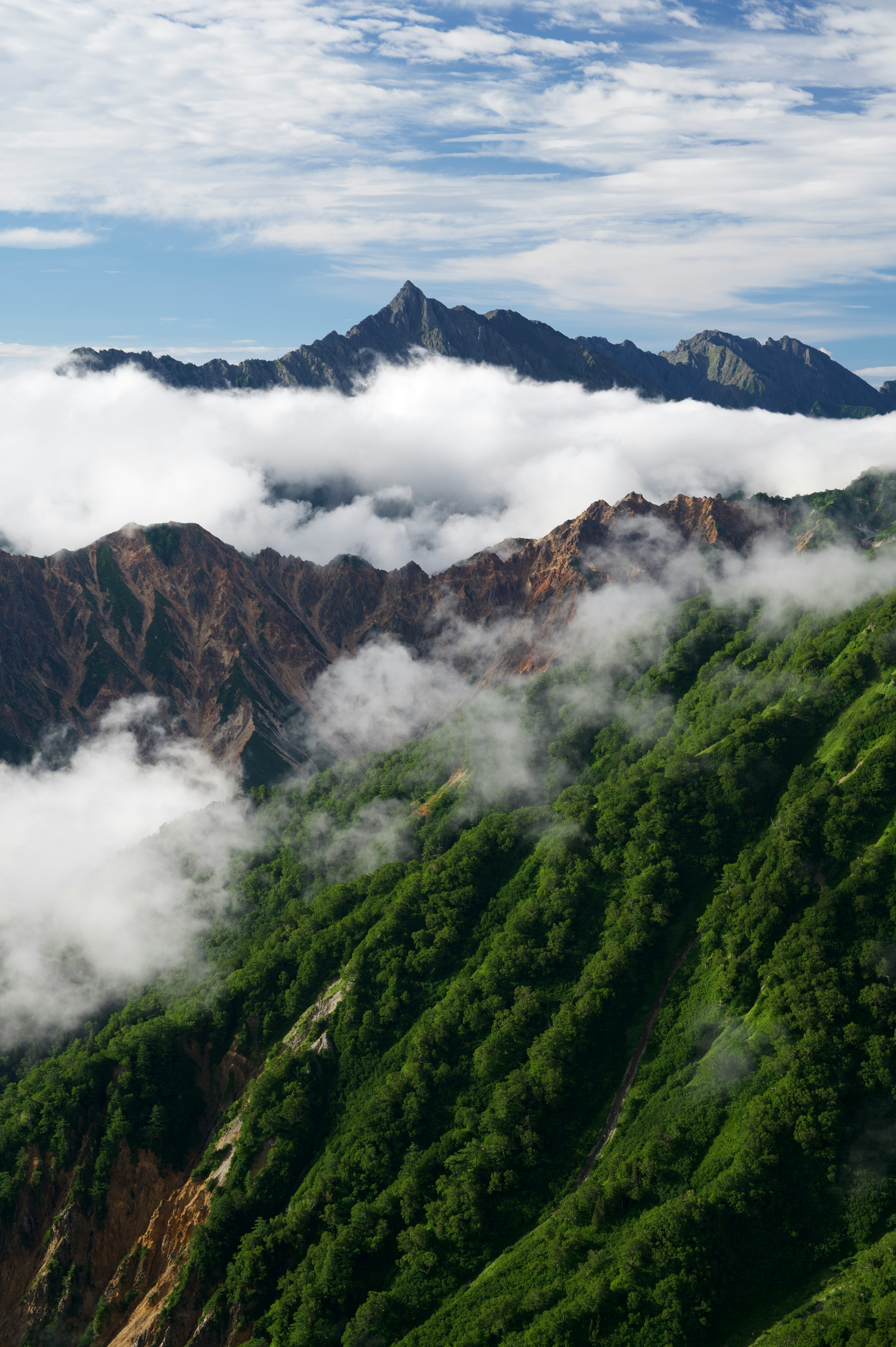 Grüne Berge mit einem Wolkenmeer