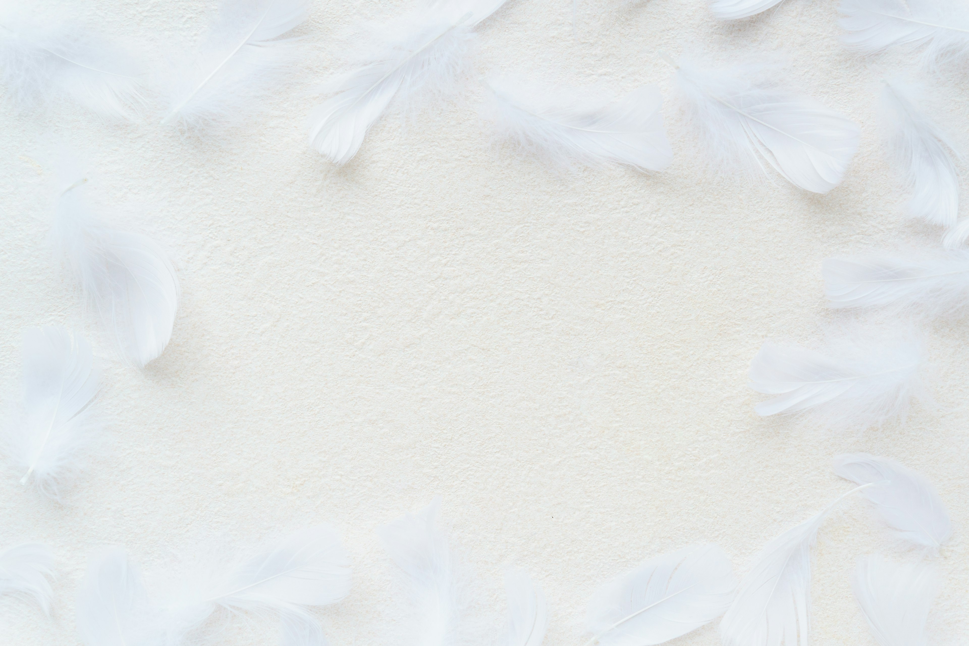 Delicate white feathers arranged around a soft background