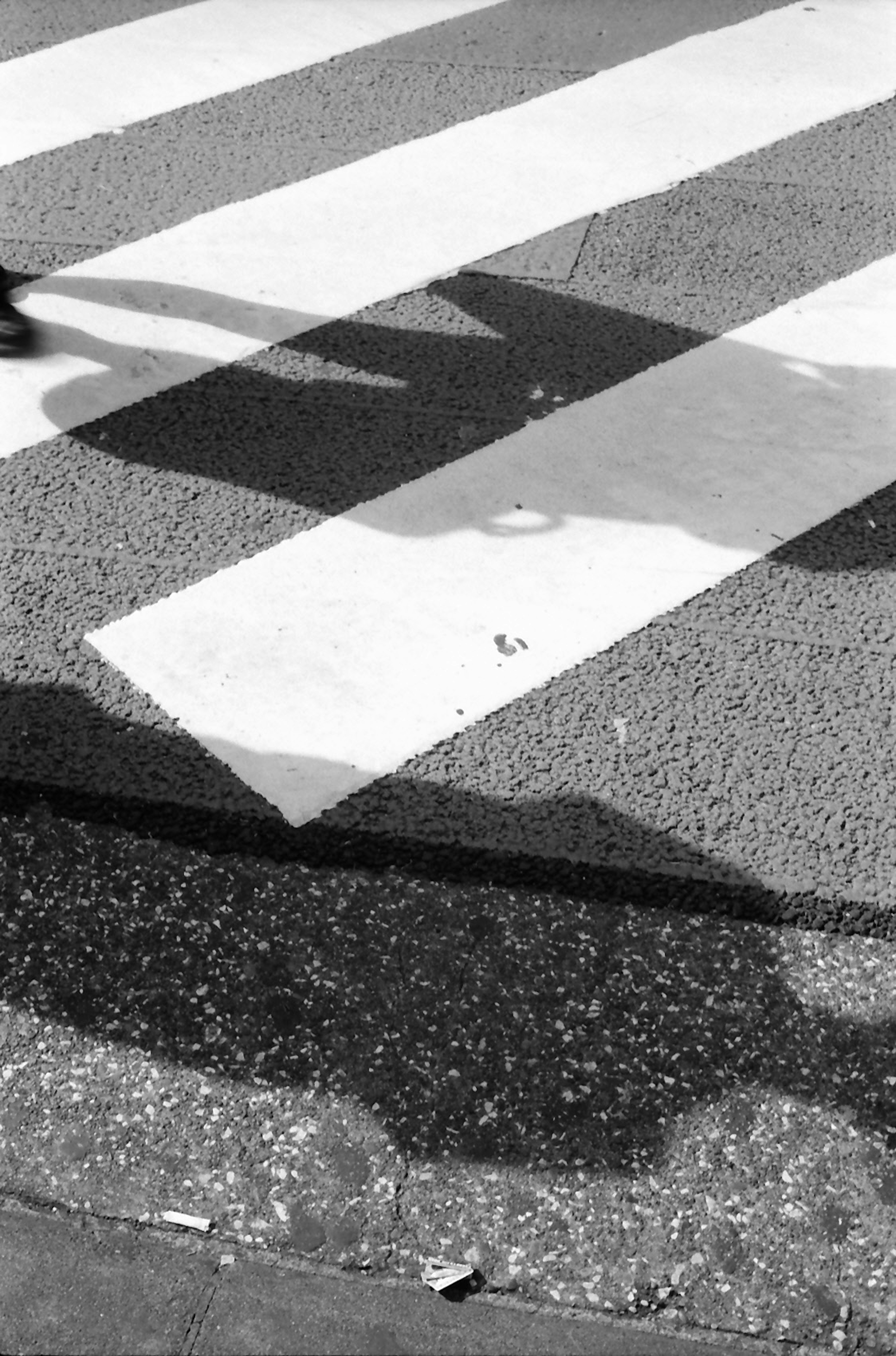 白黒の横断歩道と人の影が映る街の風景