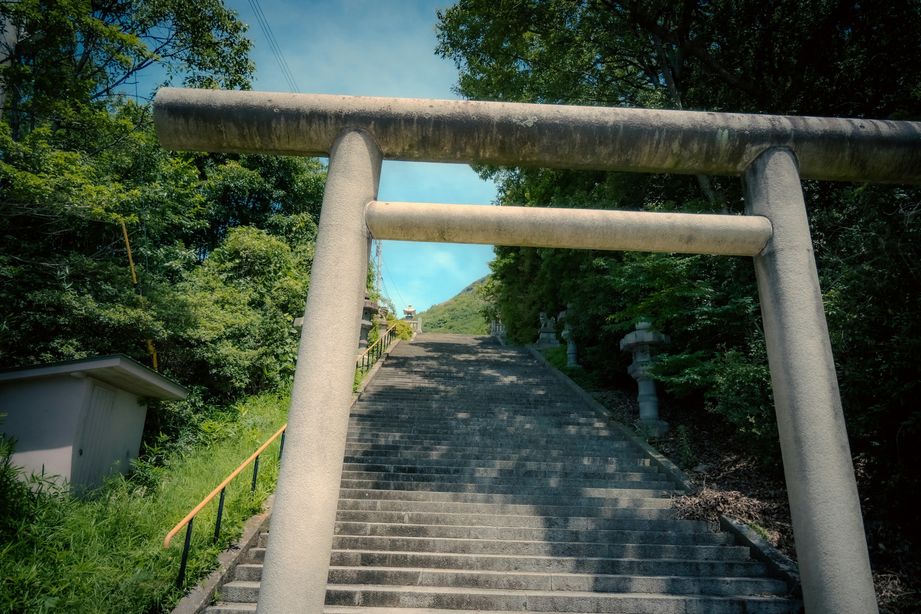 Steinernes Torii-Tor führt zu einer Treppe, umgeben von üppigem Grün