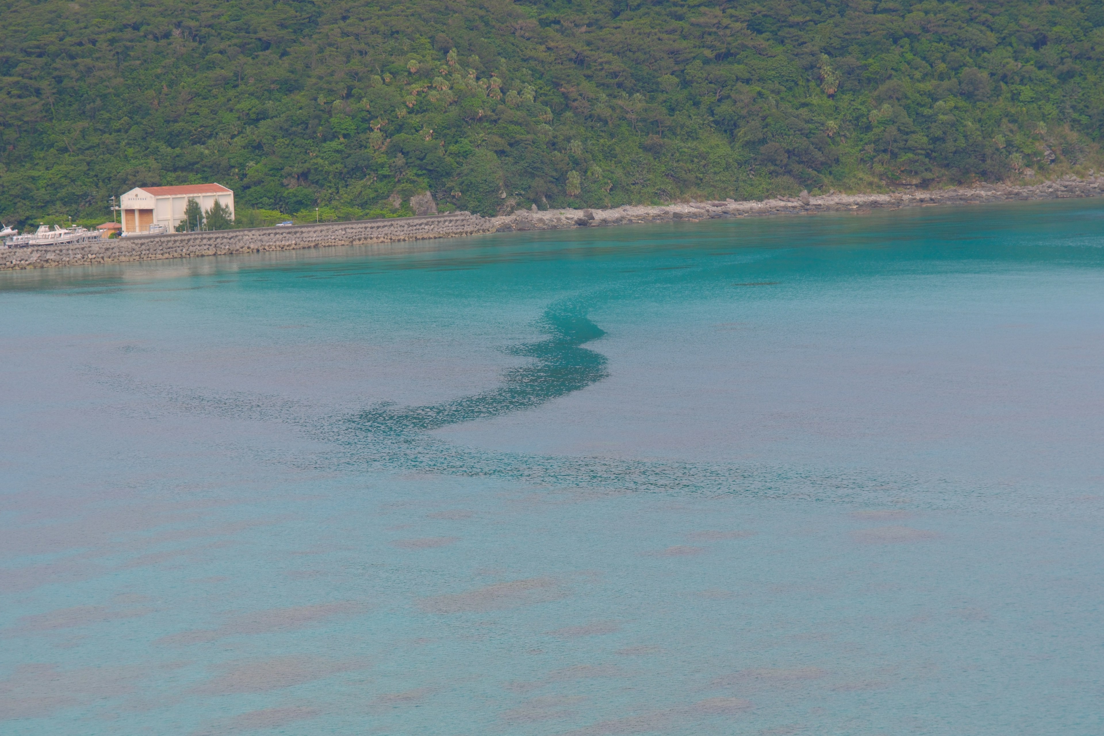 Malersiche Aussicht auf ein ruhiges blaues Meer mit einem kleinen Gebäude vor grünen Hügeln