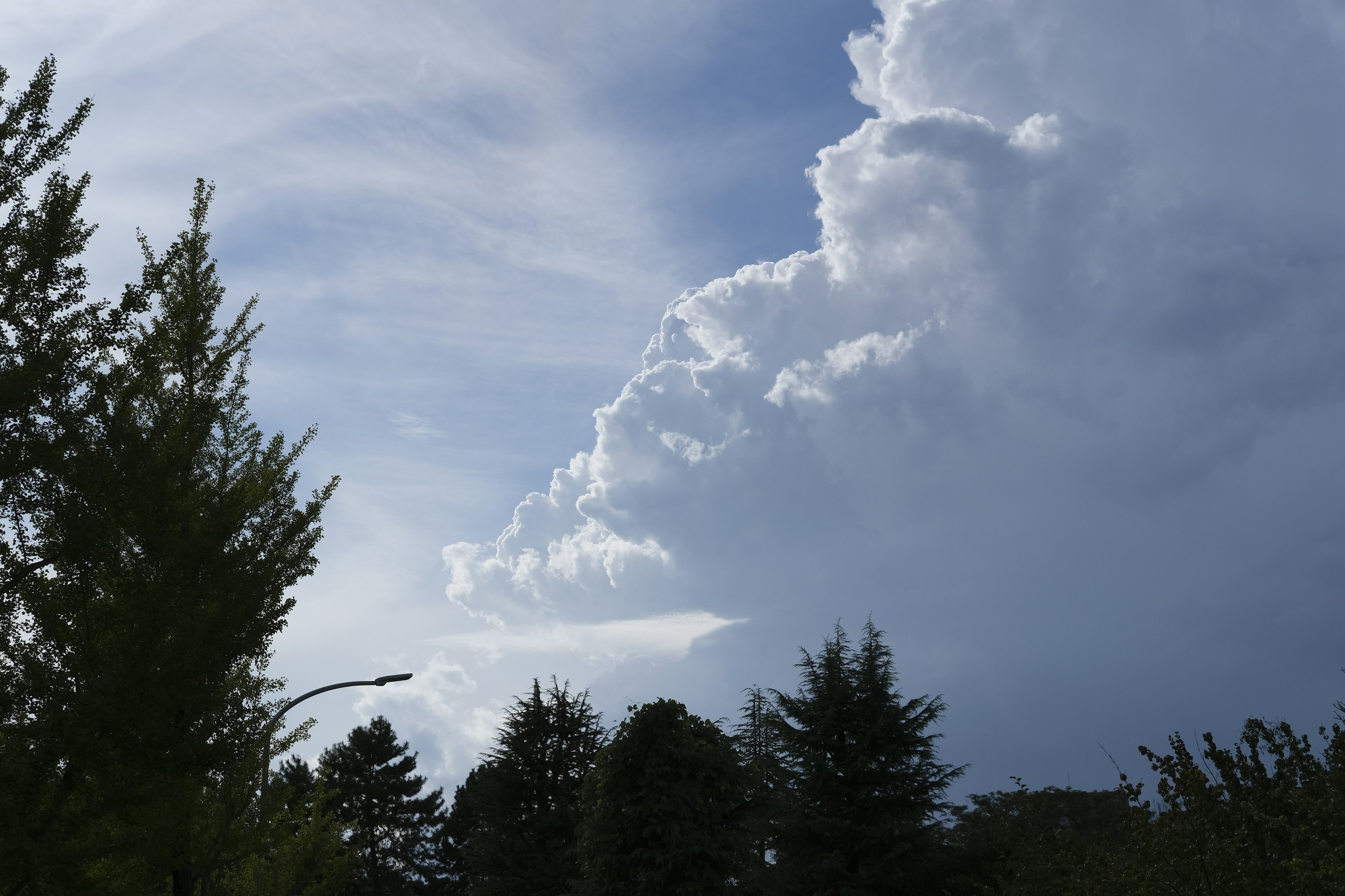 Nuvole bianche in un cielo blu con sagome di alberi