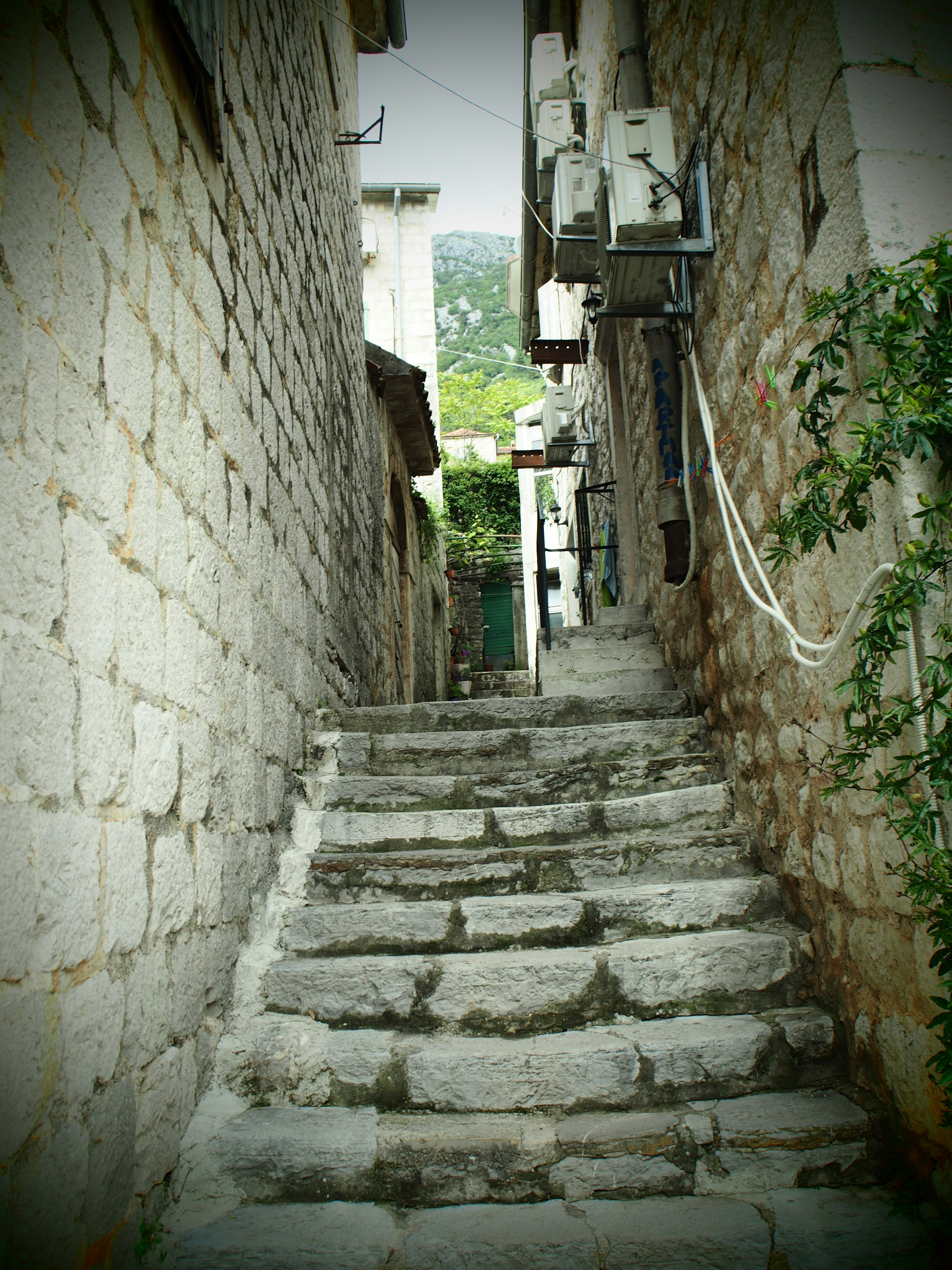 Allée étroite avec des vieilles marches en pierre et de la verdure