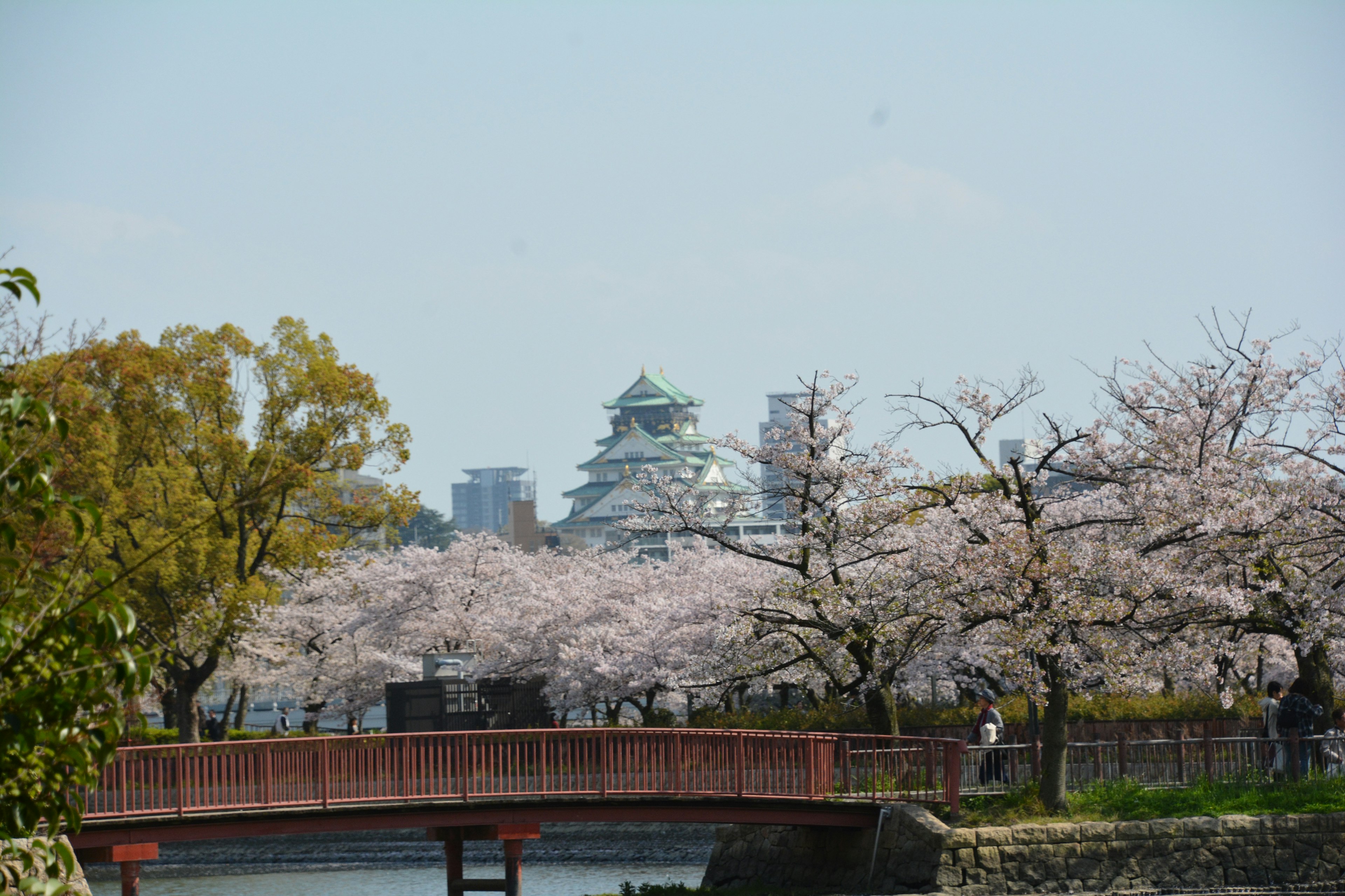 Blick auf das Osaka Castle mit Kirschblütenbäumen und einer Brücke