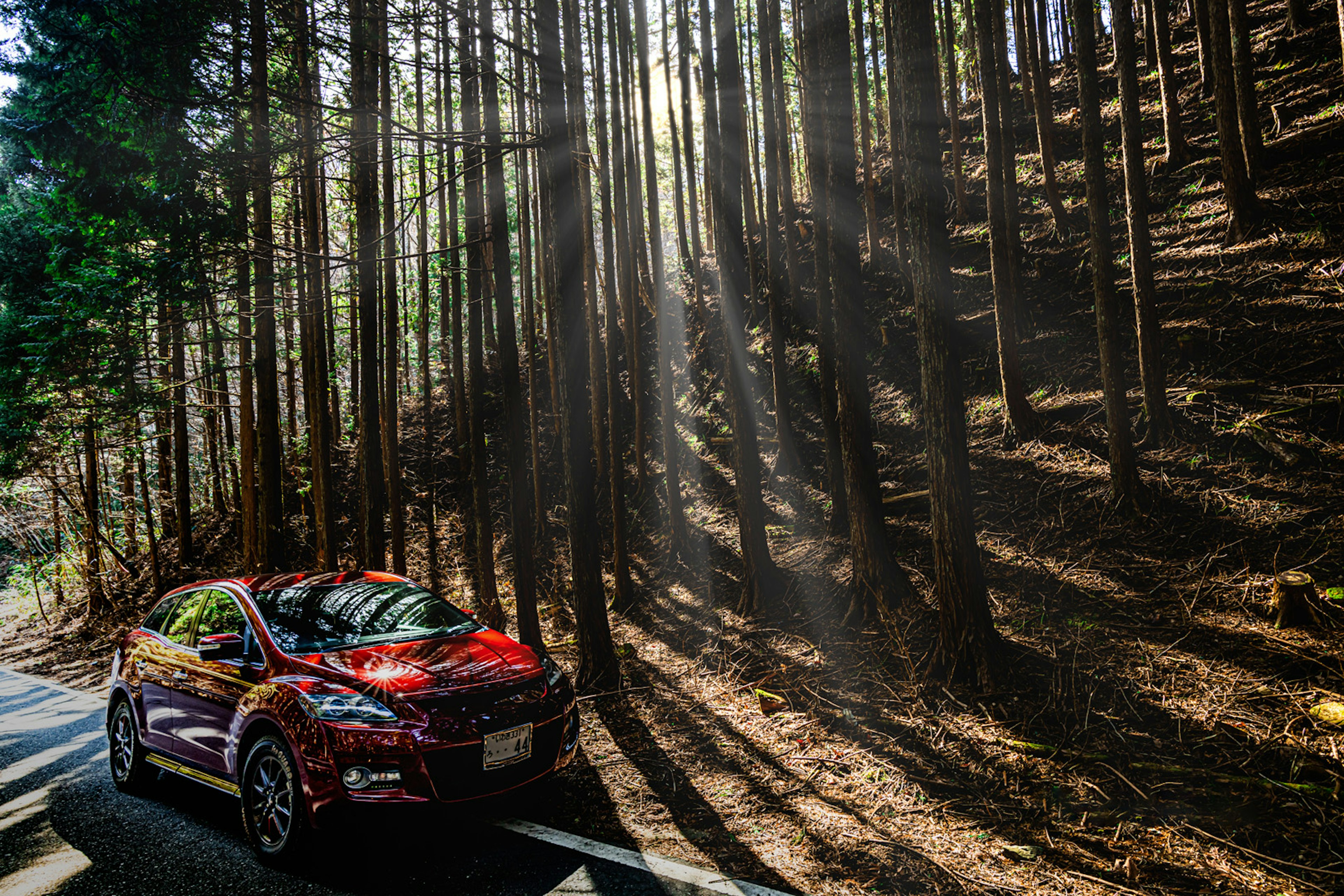 A red car parked beside a forest road with sunlight filtering through the trees