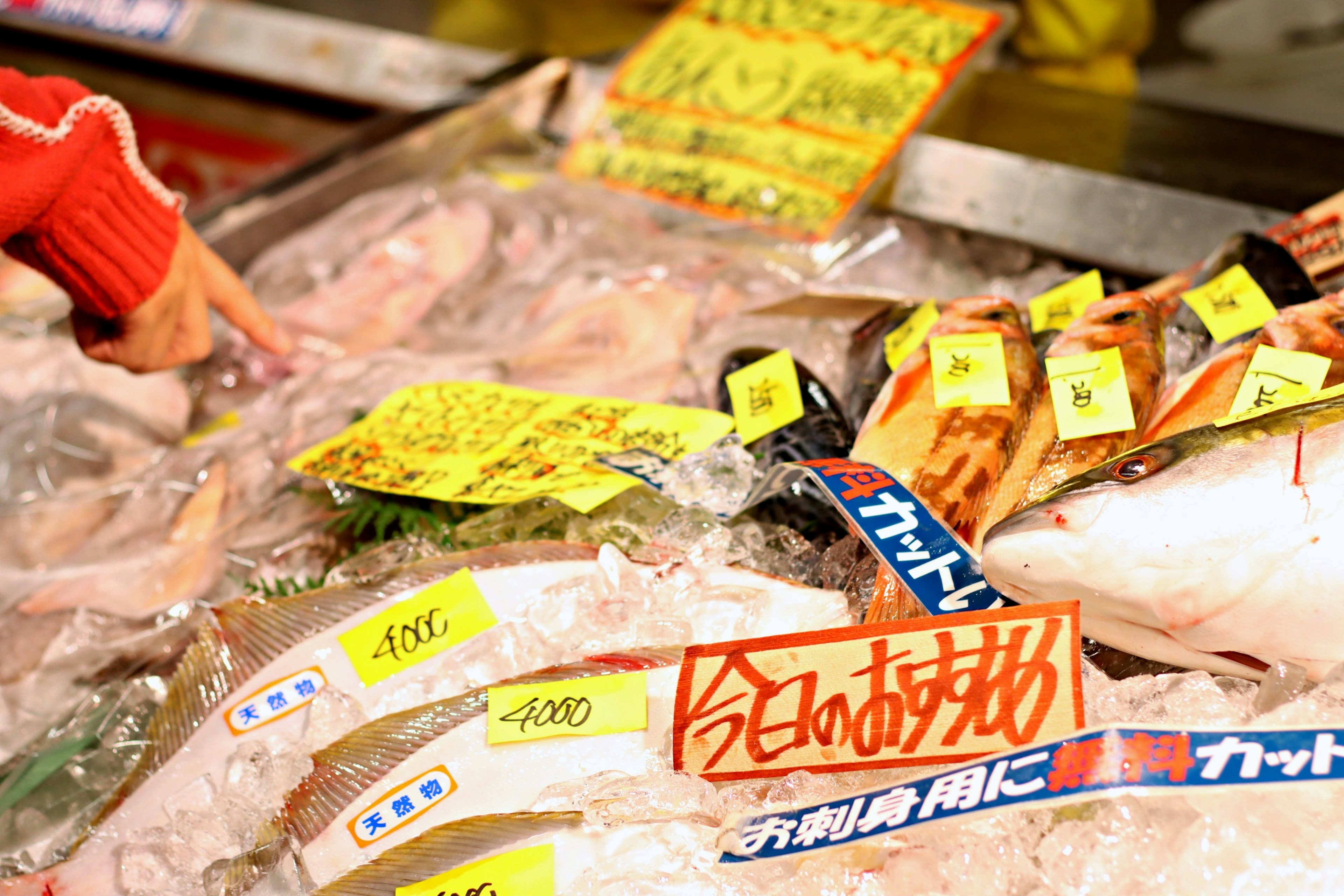 Fresh fish displayed at a market with price tags visible and a hand pointing at one of the fish